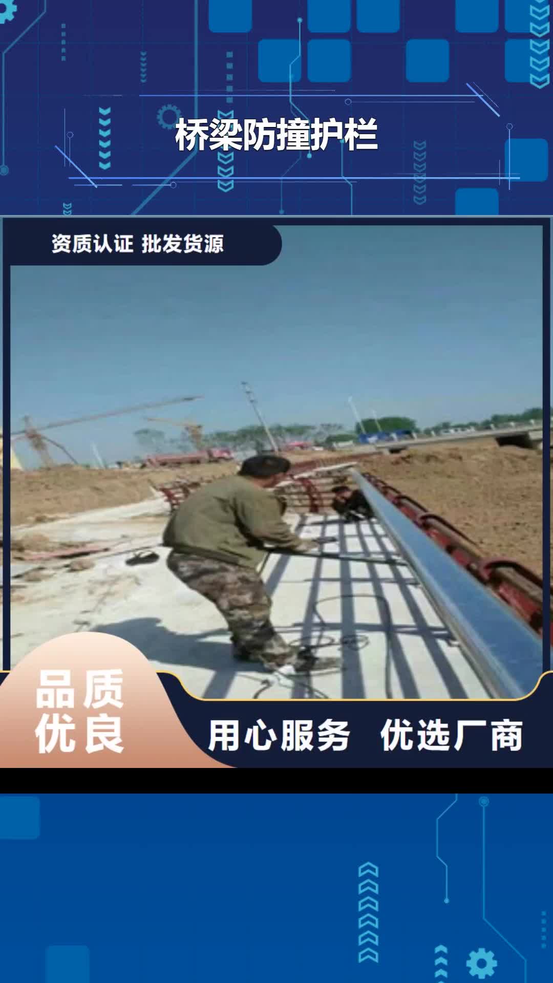 雅安【桥梁防撞护栏】,金属梁柱式防撞栏杆正规厂家