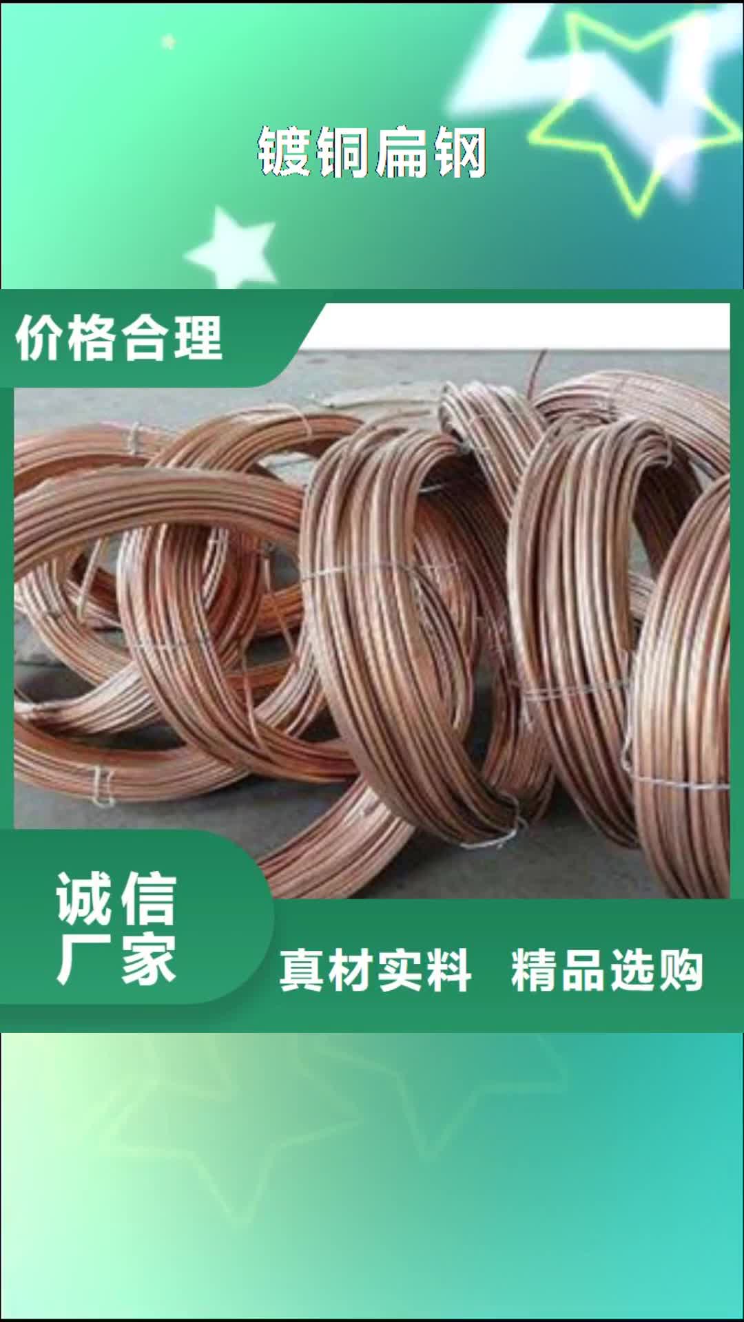 【湖北 镀铜扁钢,日标角钢专业设计】