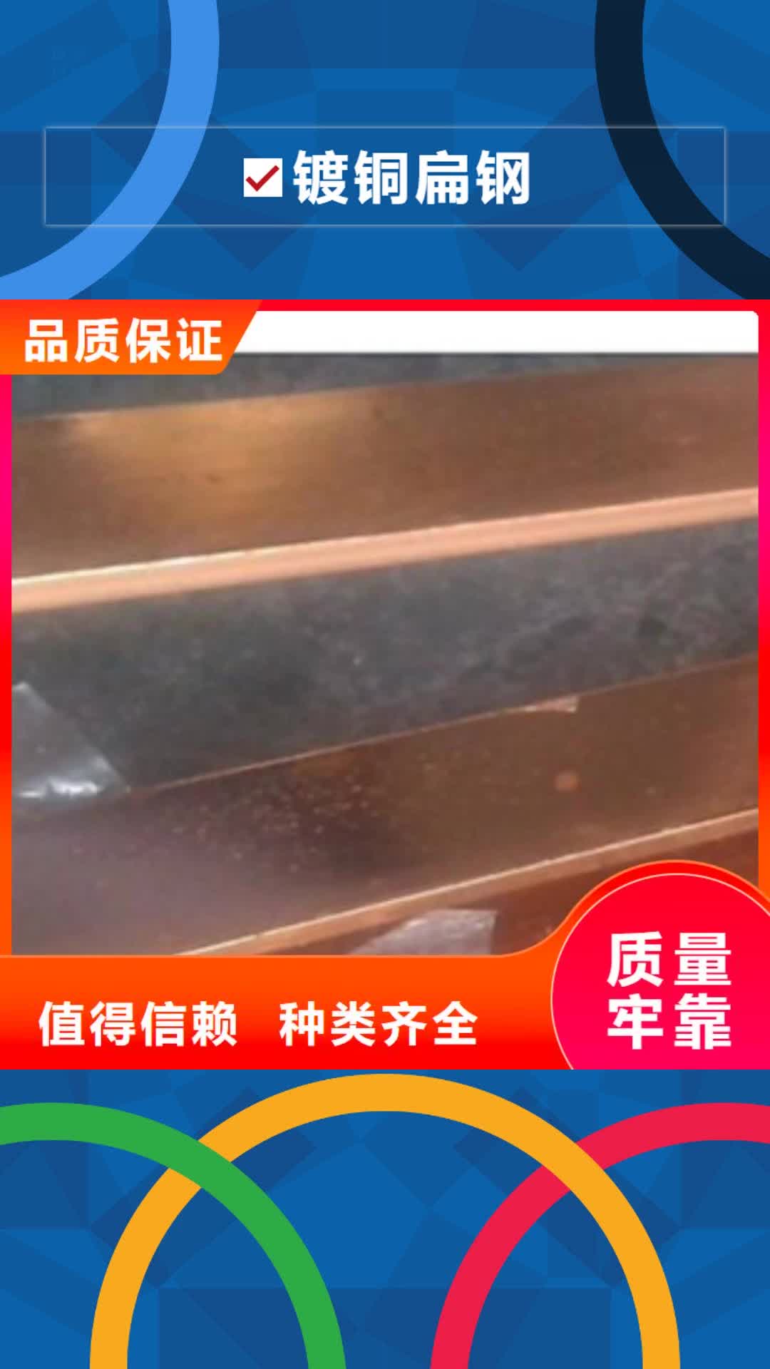 新乡 镀铜扁钢,【日标镀锌槽钢】实力厂家直销
