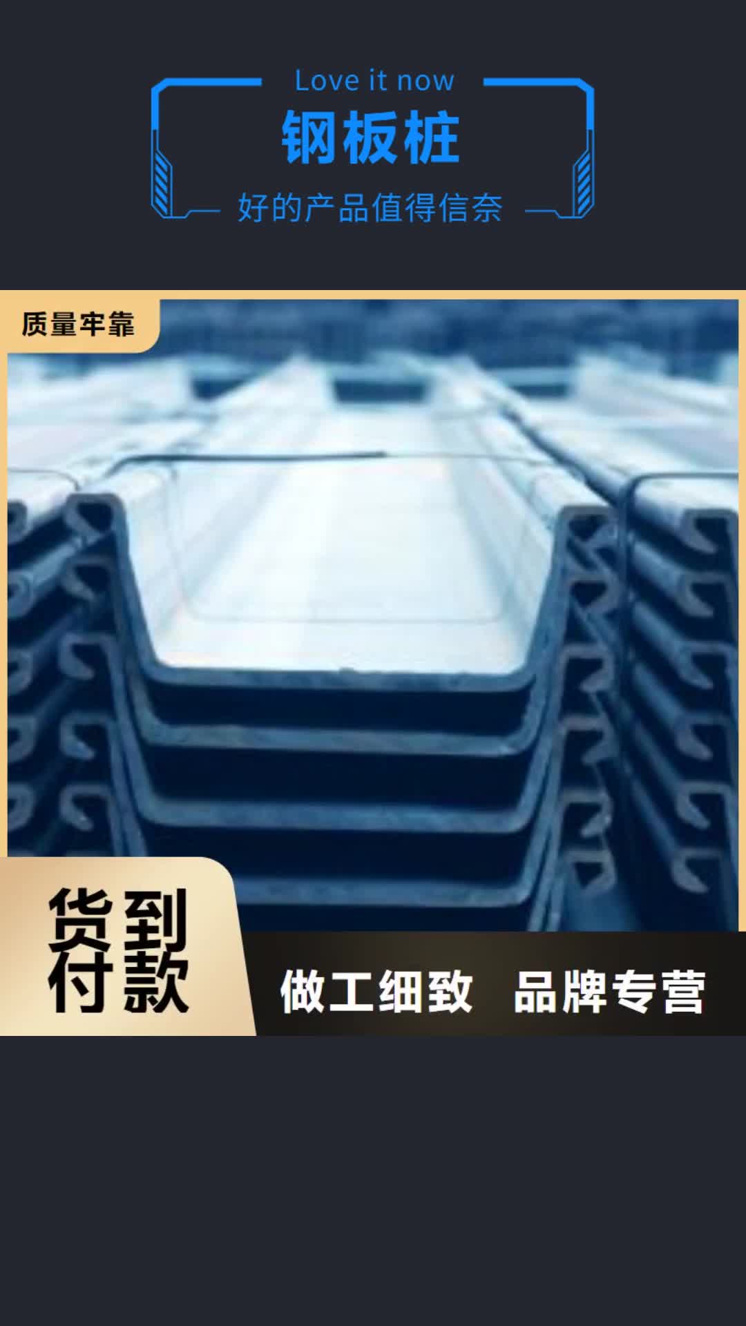 株洲 钢板桩 【钢板厂家】用品质说话