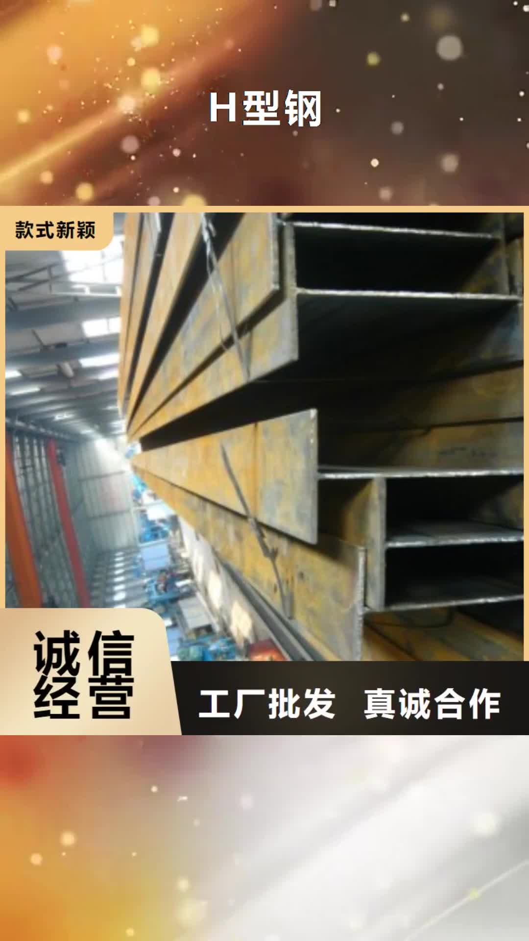 咸宁 H型钢【镀锌钢板】厂家案例