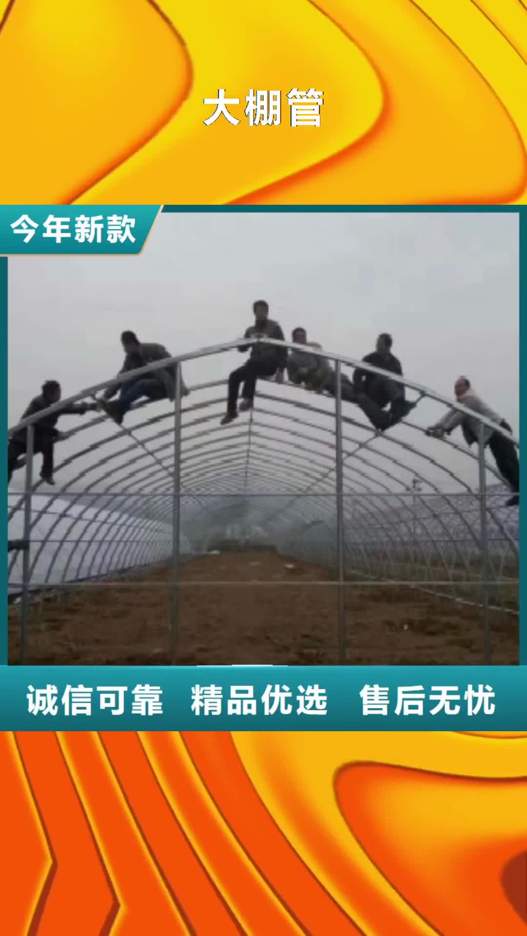 河南【大棚管】L290多年行业经验