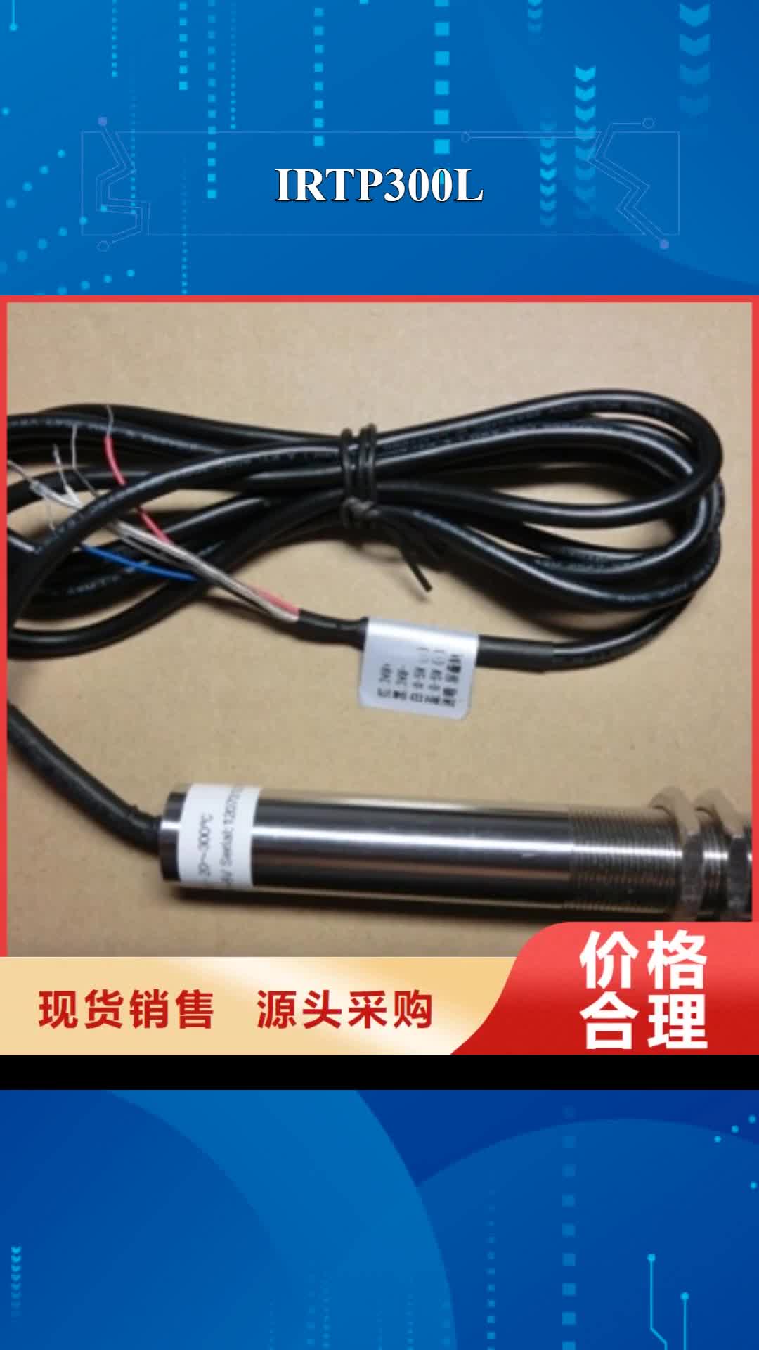 陇南【IRTP300L】金属转子流量计生产厂家