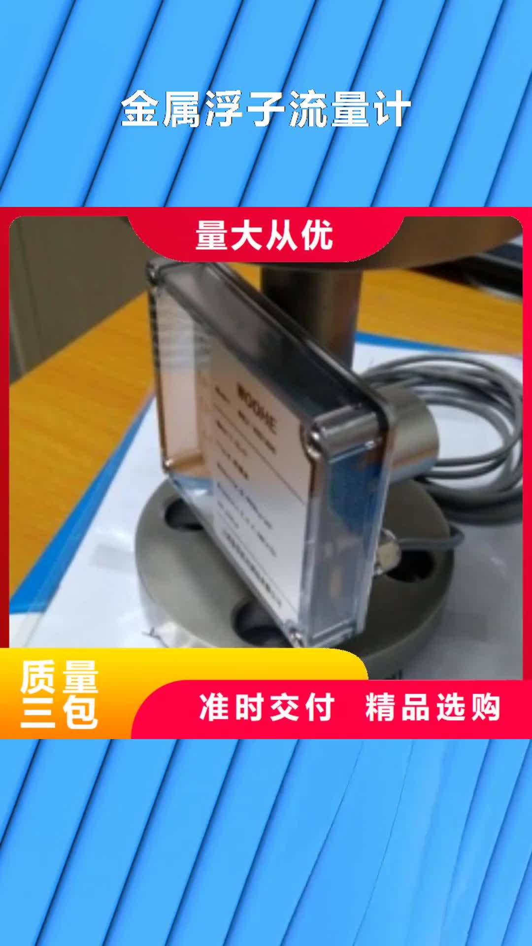 郴州 金属浮子流量计-【金属转子流量计】正规厂家