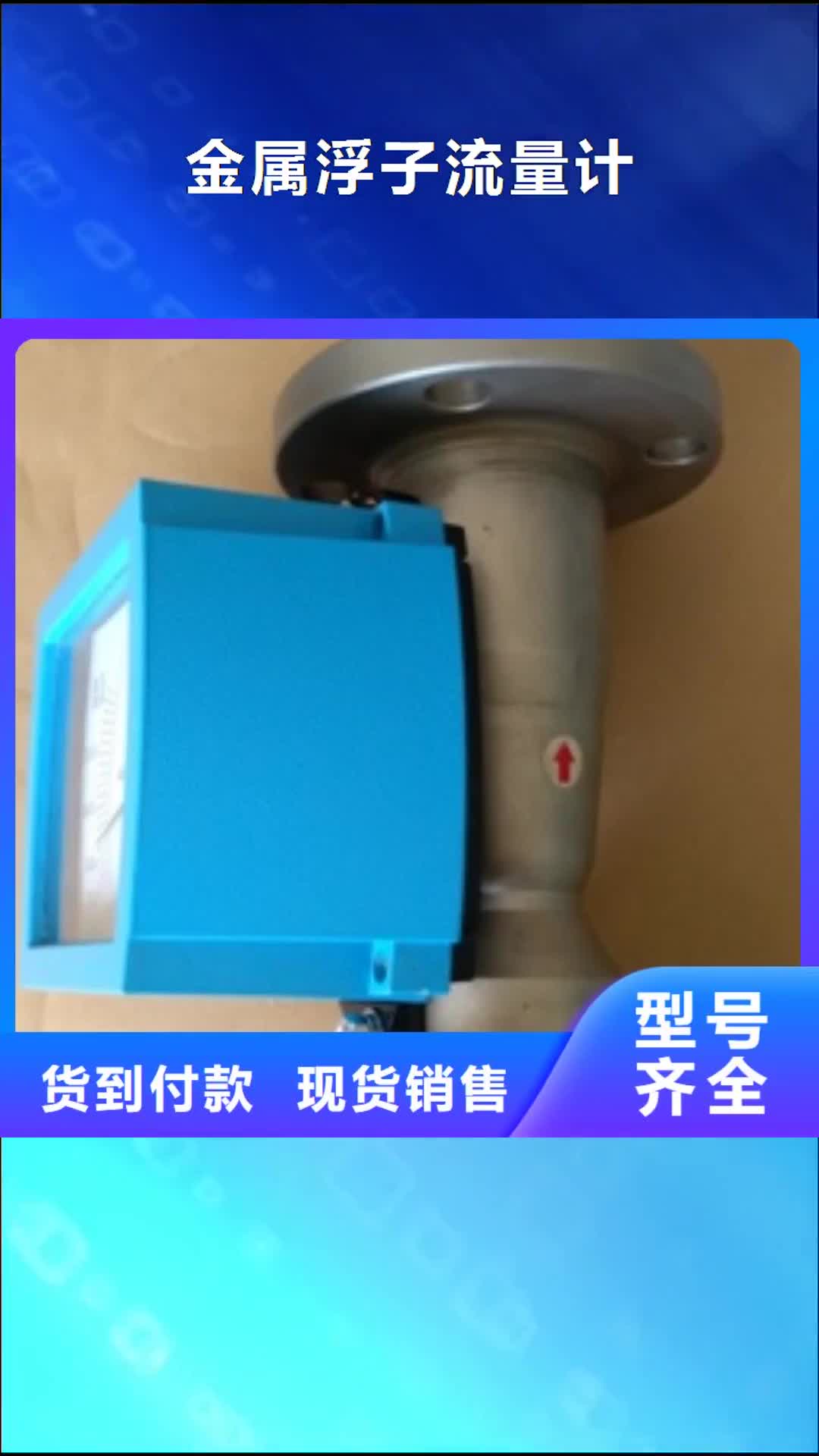 赣州 金属浮子流量计-【温度无线测量系统】设计合理