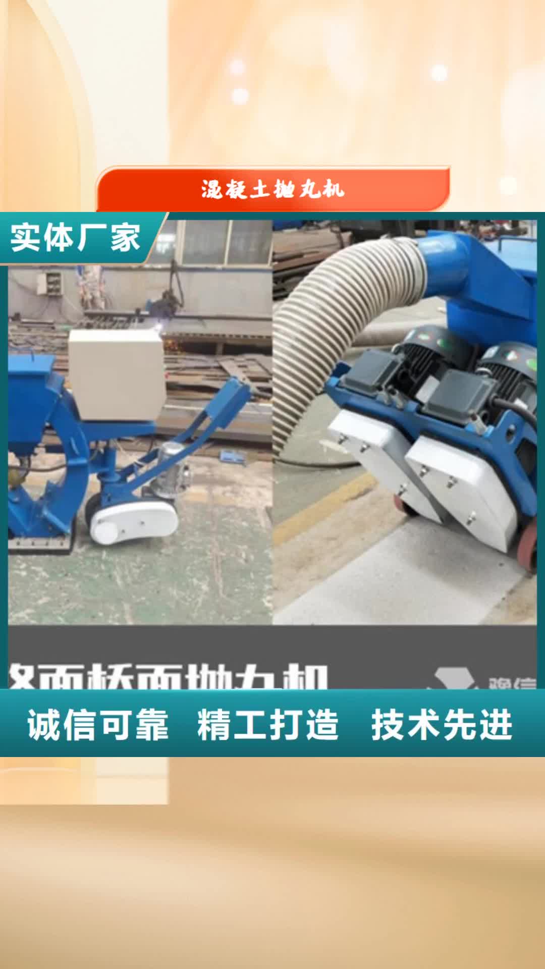 【武汉 混凝土抛丸机 滑模机价格公道合理】
