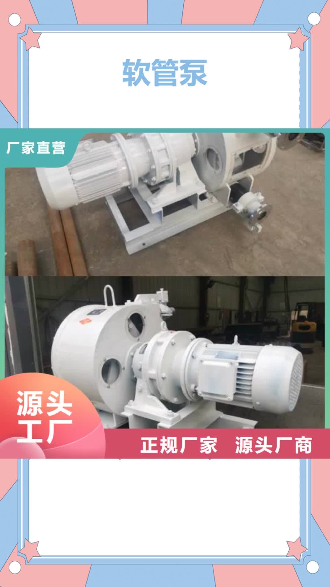 永州【软管泵】_路面抛丸机品质卓越