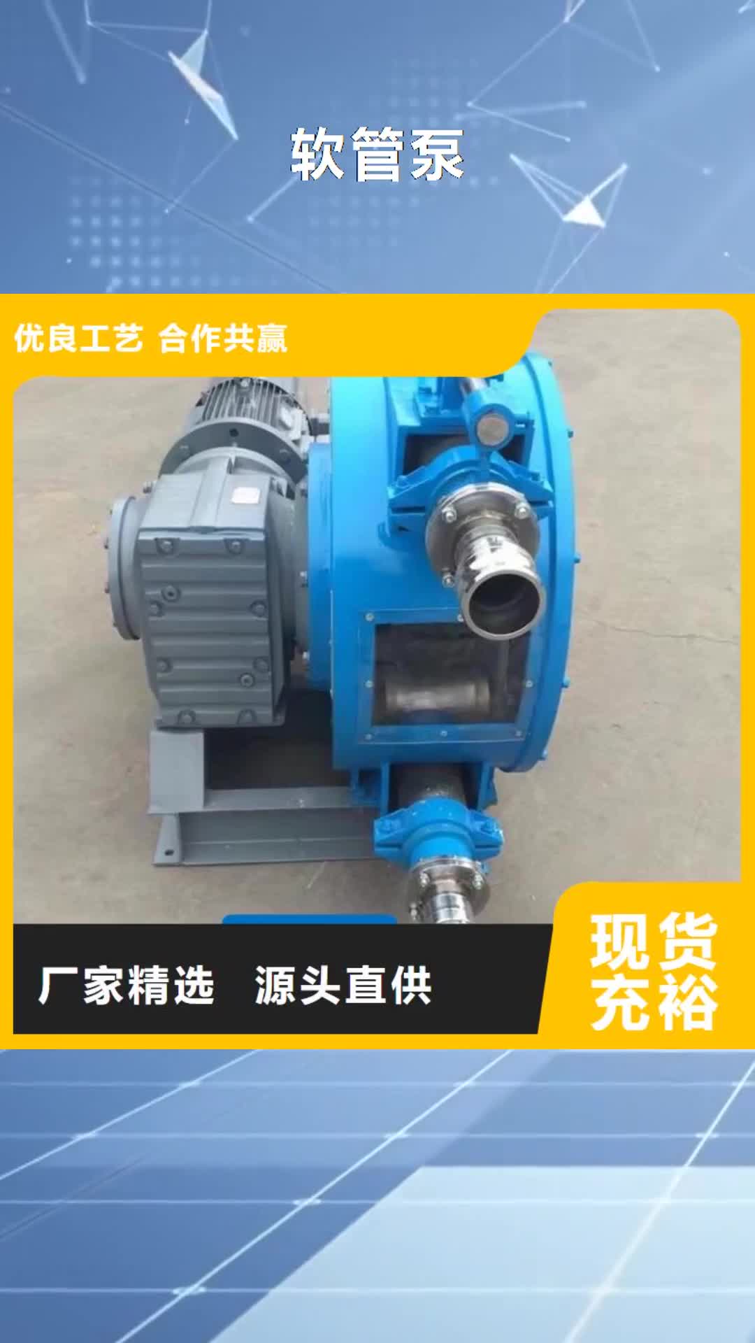 【大连 软管泵 拦水带成型机长期供应】