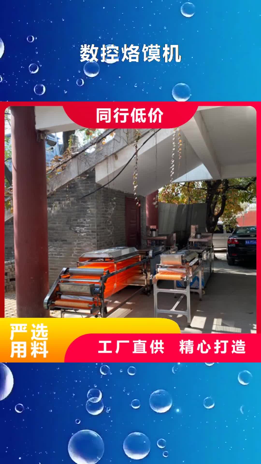 石家庄 数控烙馍机,【擀面皮机】优质材料厂家直销
