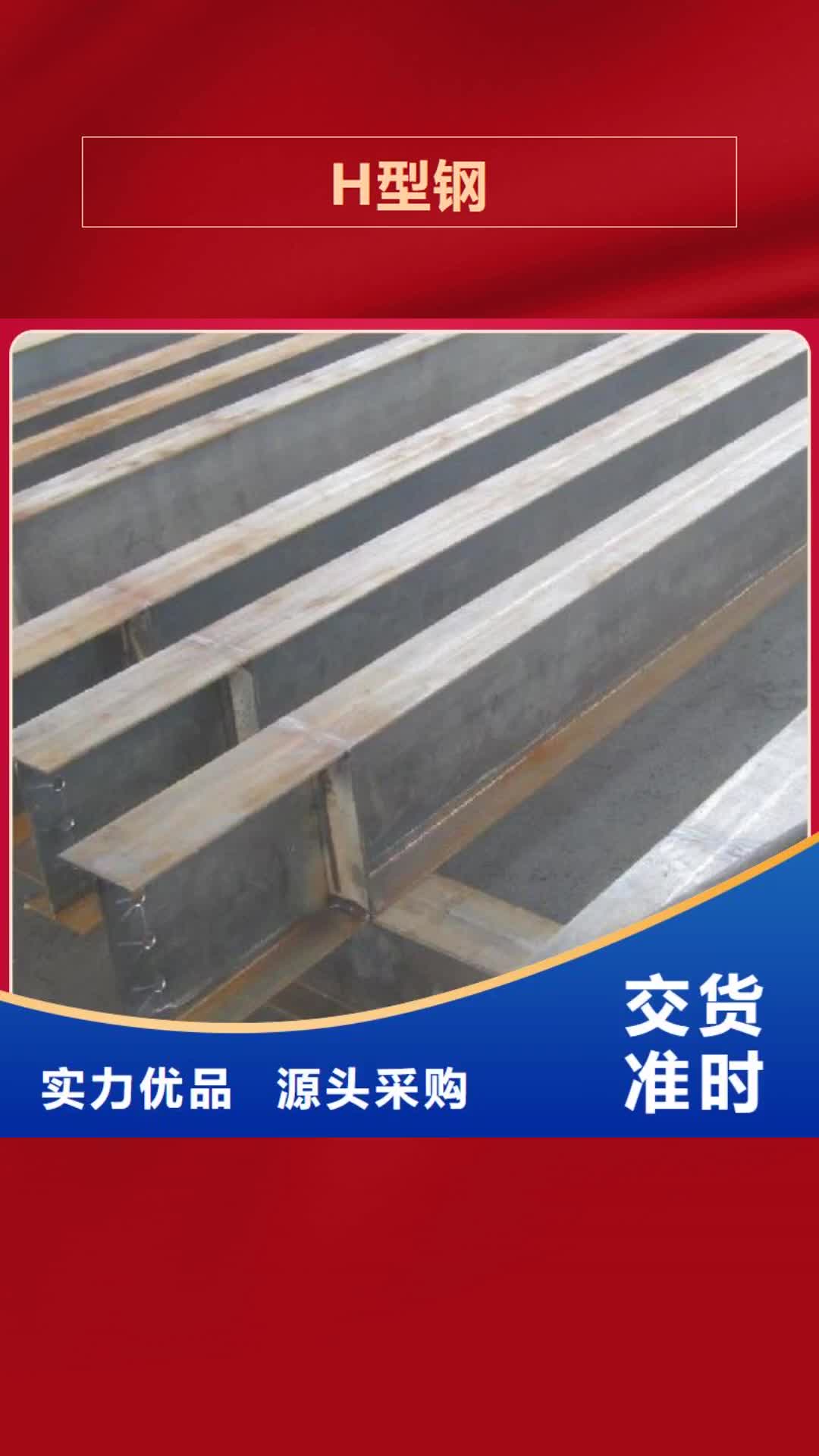 上海 H型钢_【紫铜排】质量安心
