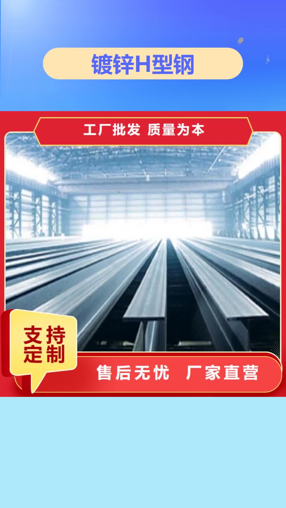 濮阳【镀锌H型钢】-钢结构喷漆焊接源厂供货