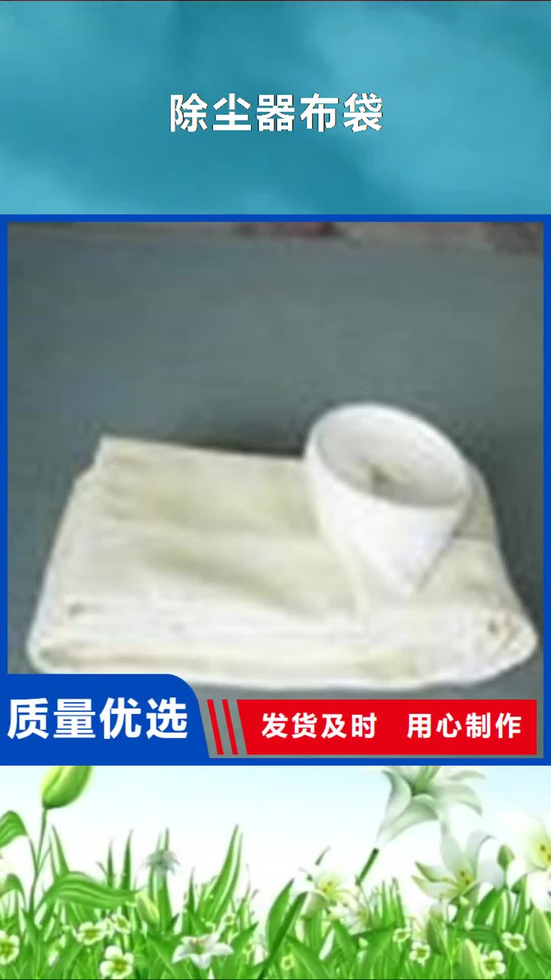 【海南 除尘器布袋 脉冲除尘器厂家直销大量现货】