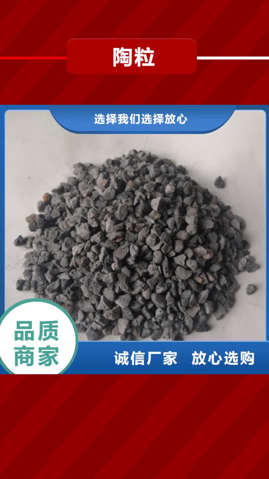 辽宁【陶粒】蜂窝斜管填料 精致工艺