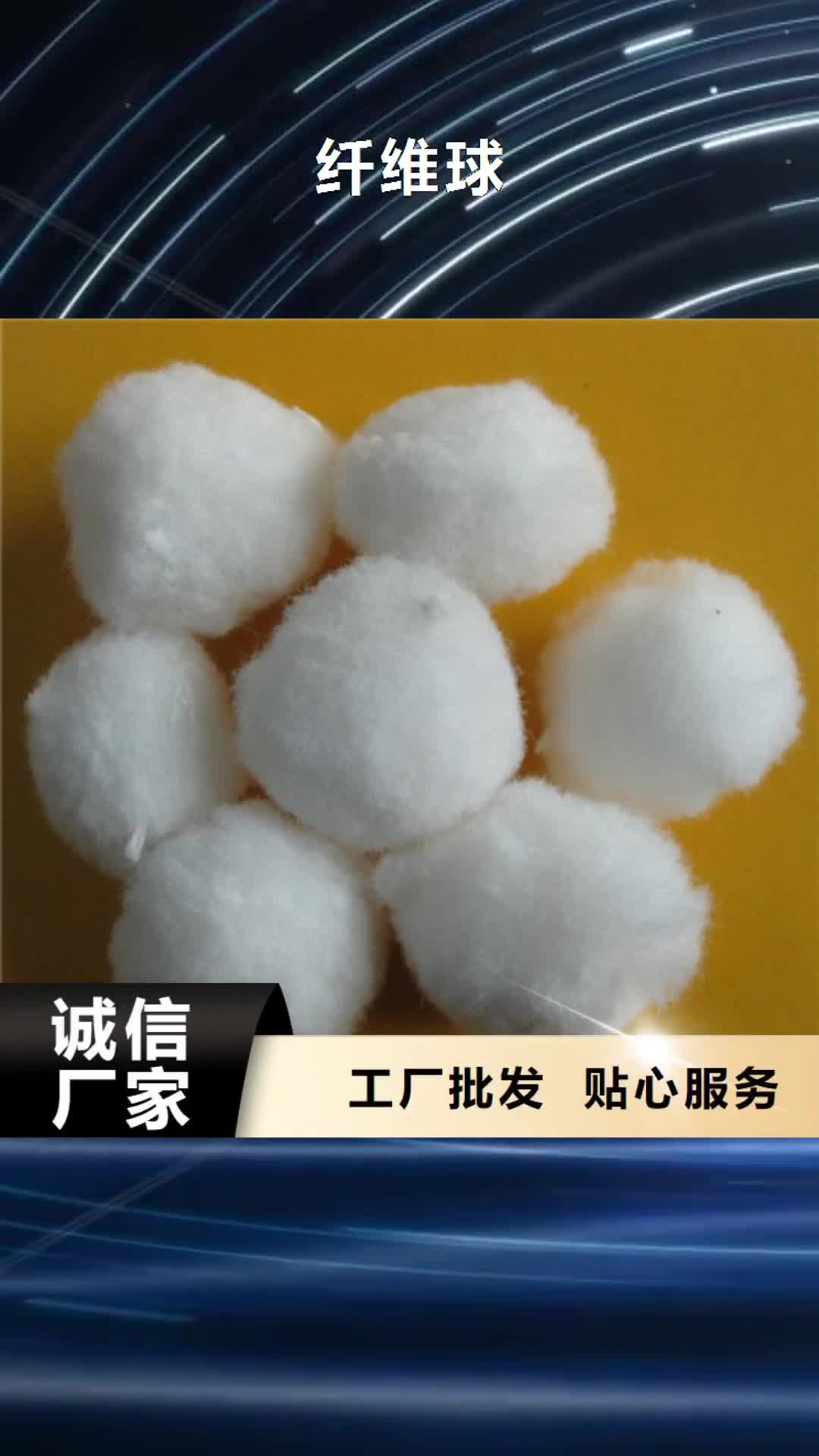【枣庄 纤维球-滤头滤帽严格把控每一处细节】