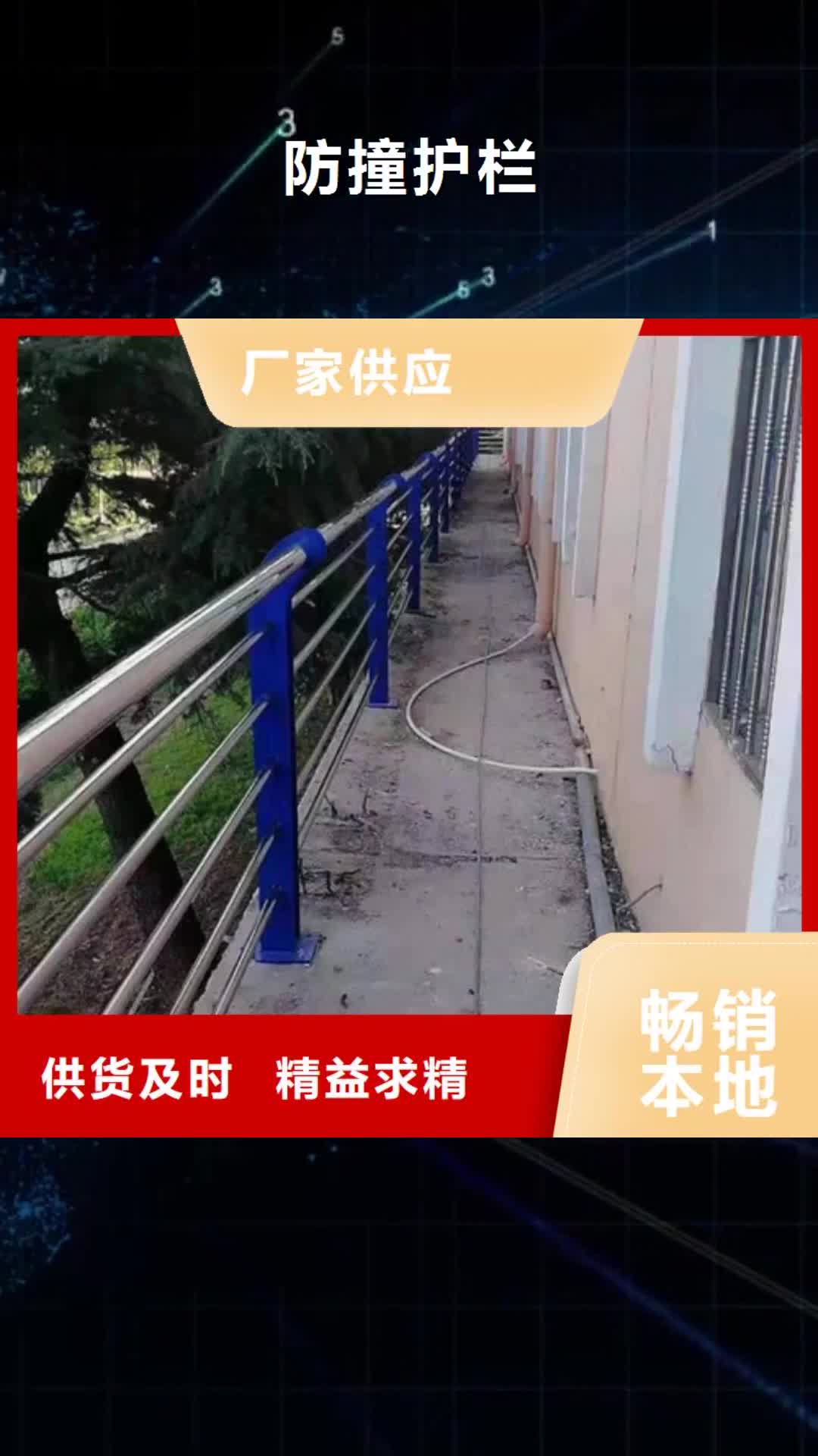 【衡水 防撞护栏-立柱诚信可靠】
