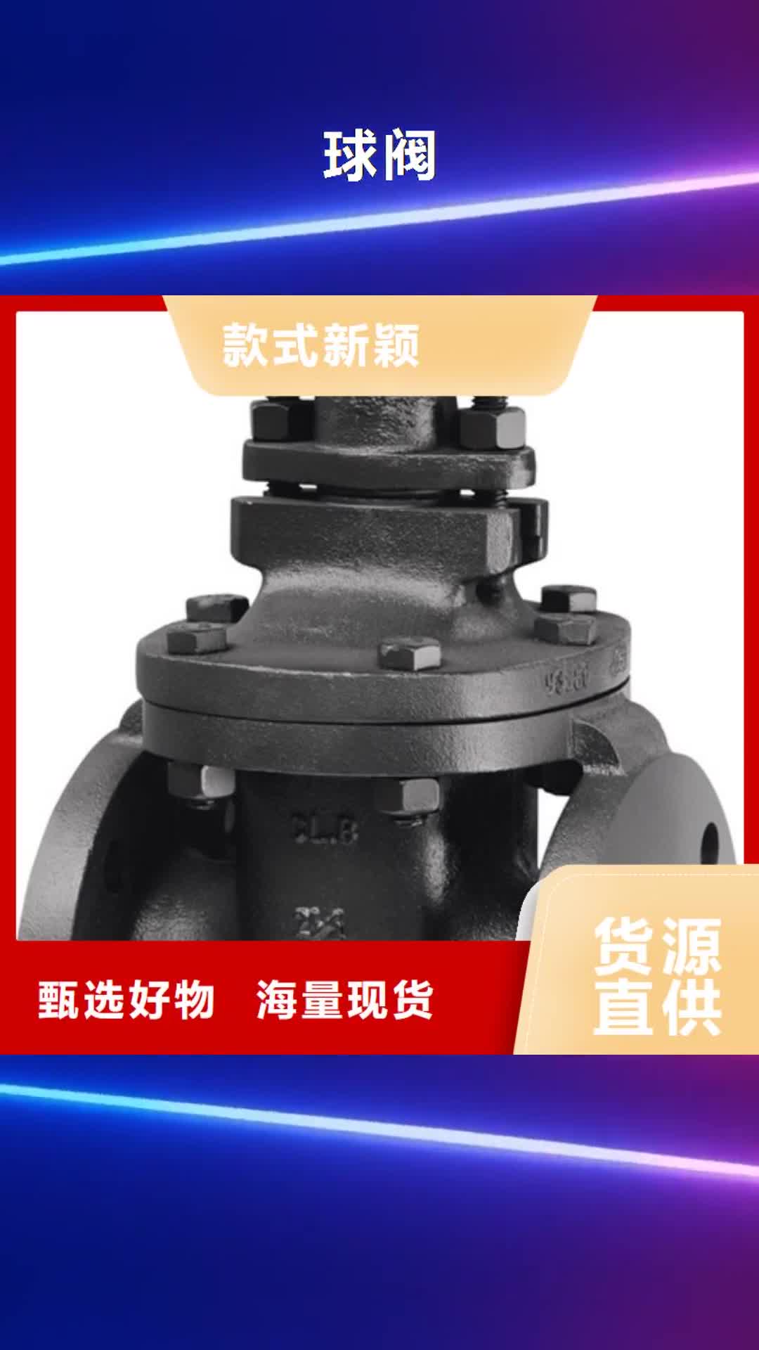 黑河【球阀】_天津远大阀门贴心服务