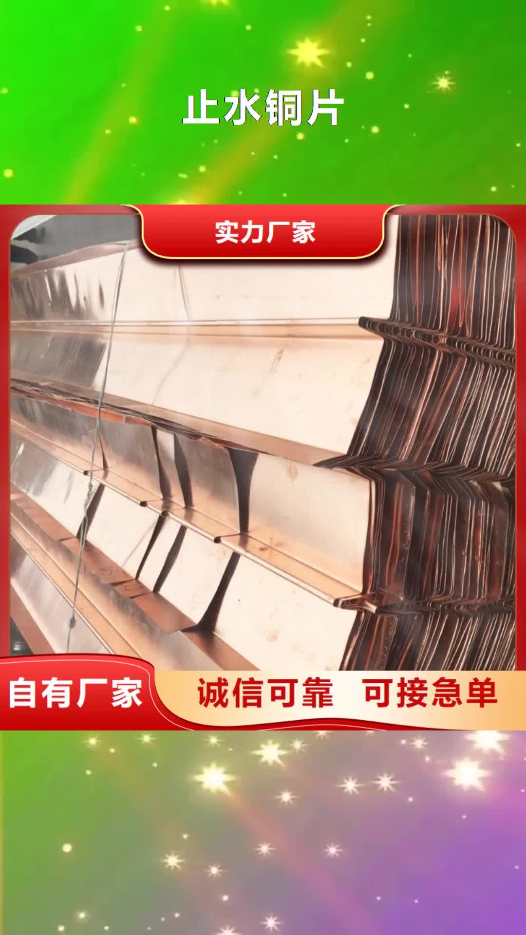 【长沙 止水铜片遇水膨胀橡胶止水带质量检测】