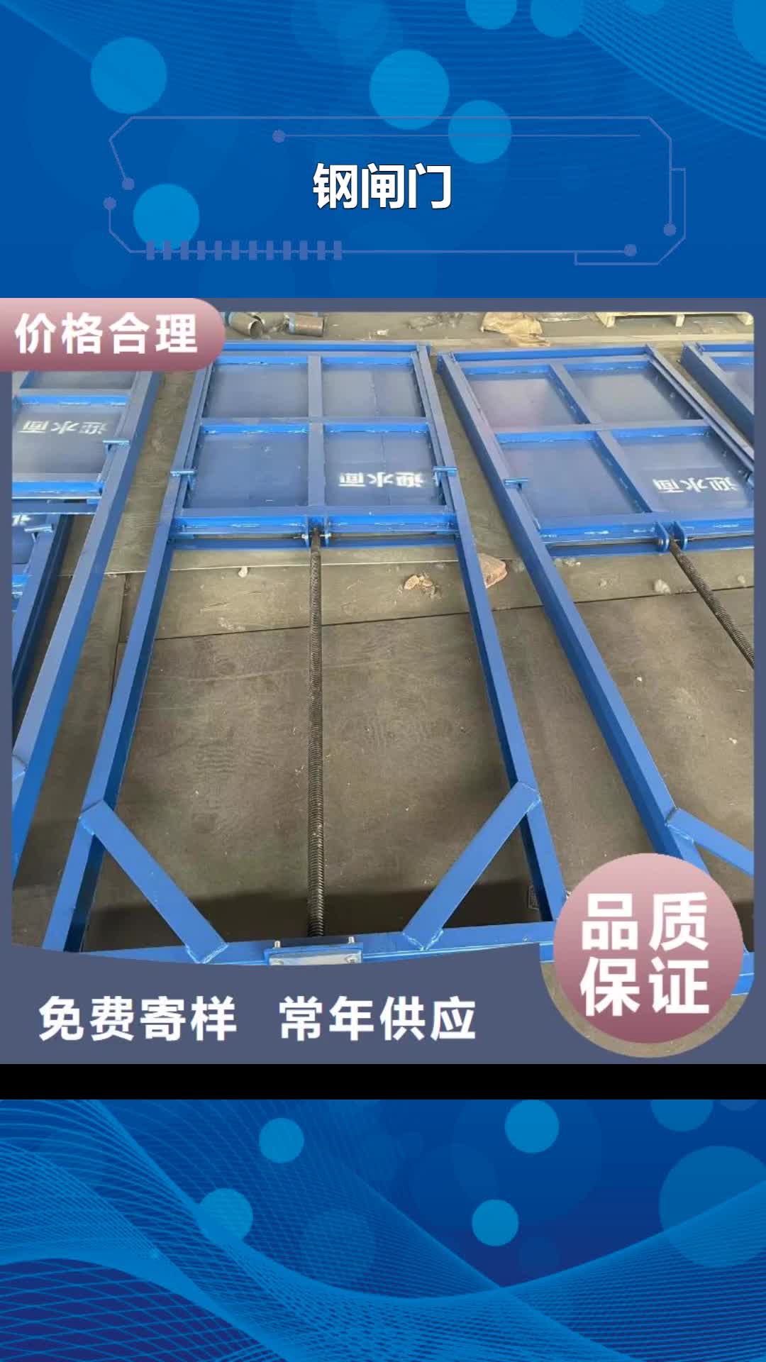 咸阳【钢闸门】 除污机量大从优