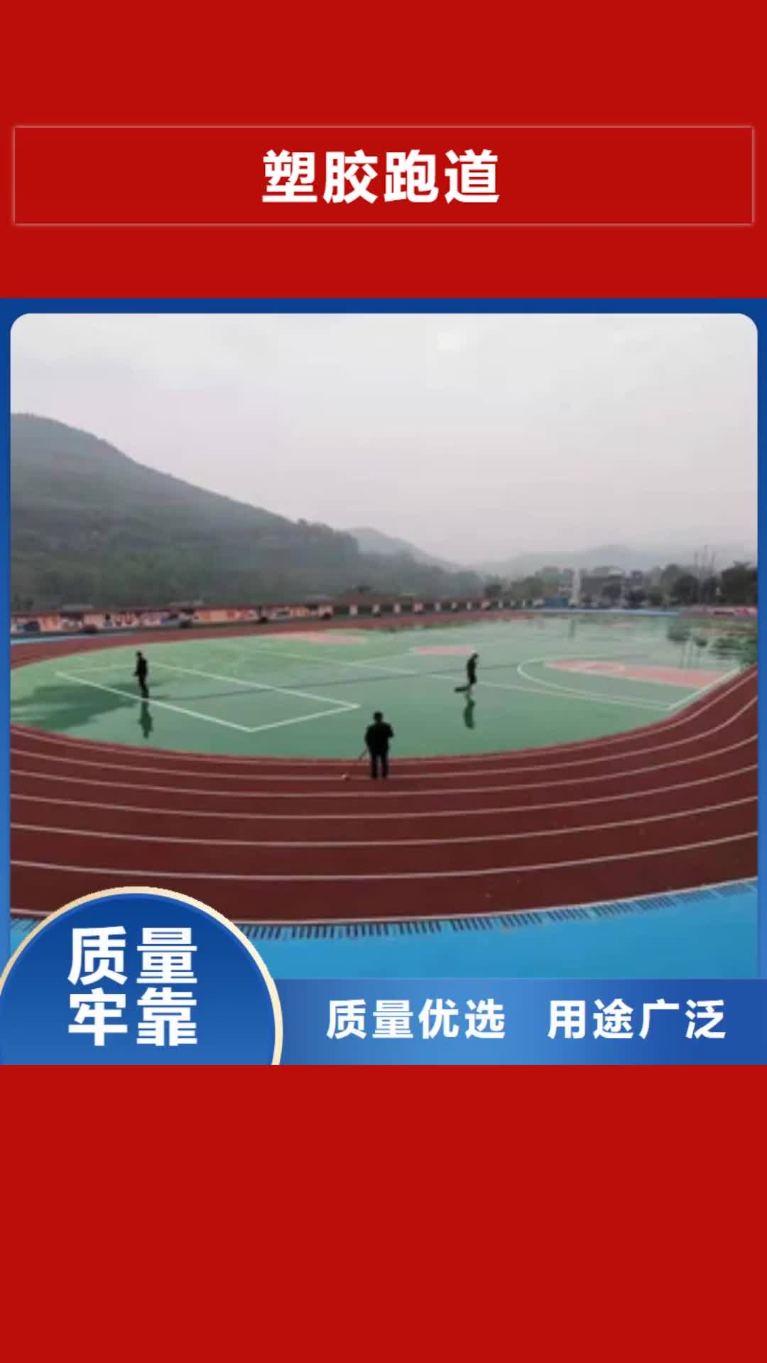 直辖【塑胶跑道】弹性地板球馆源头厂源头货
