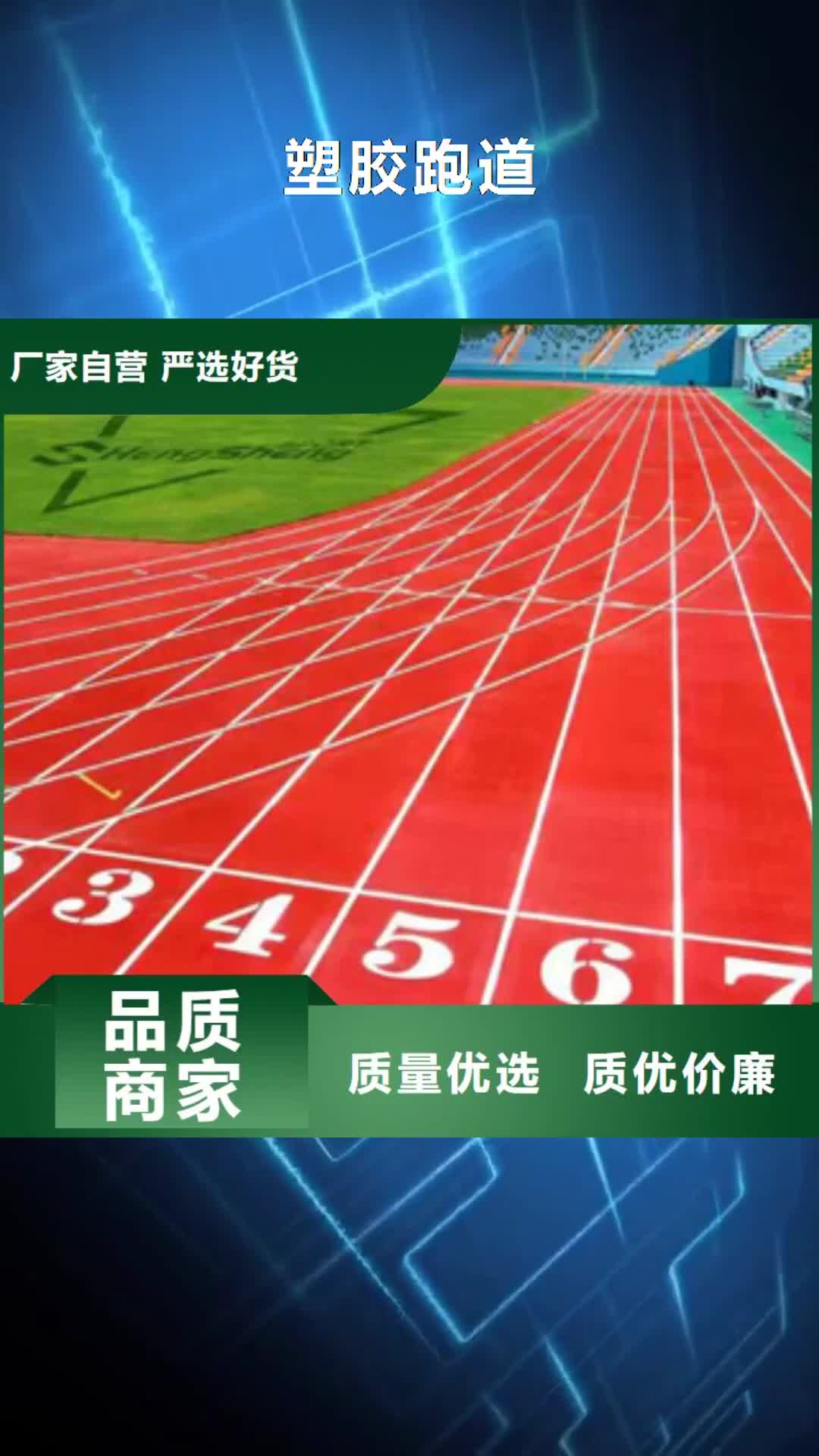 【定西 塑胶跑道PVC塑胶地板厂家直销省心省钱】
