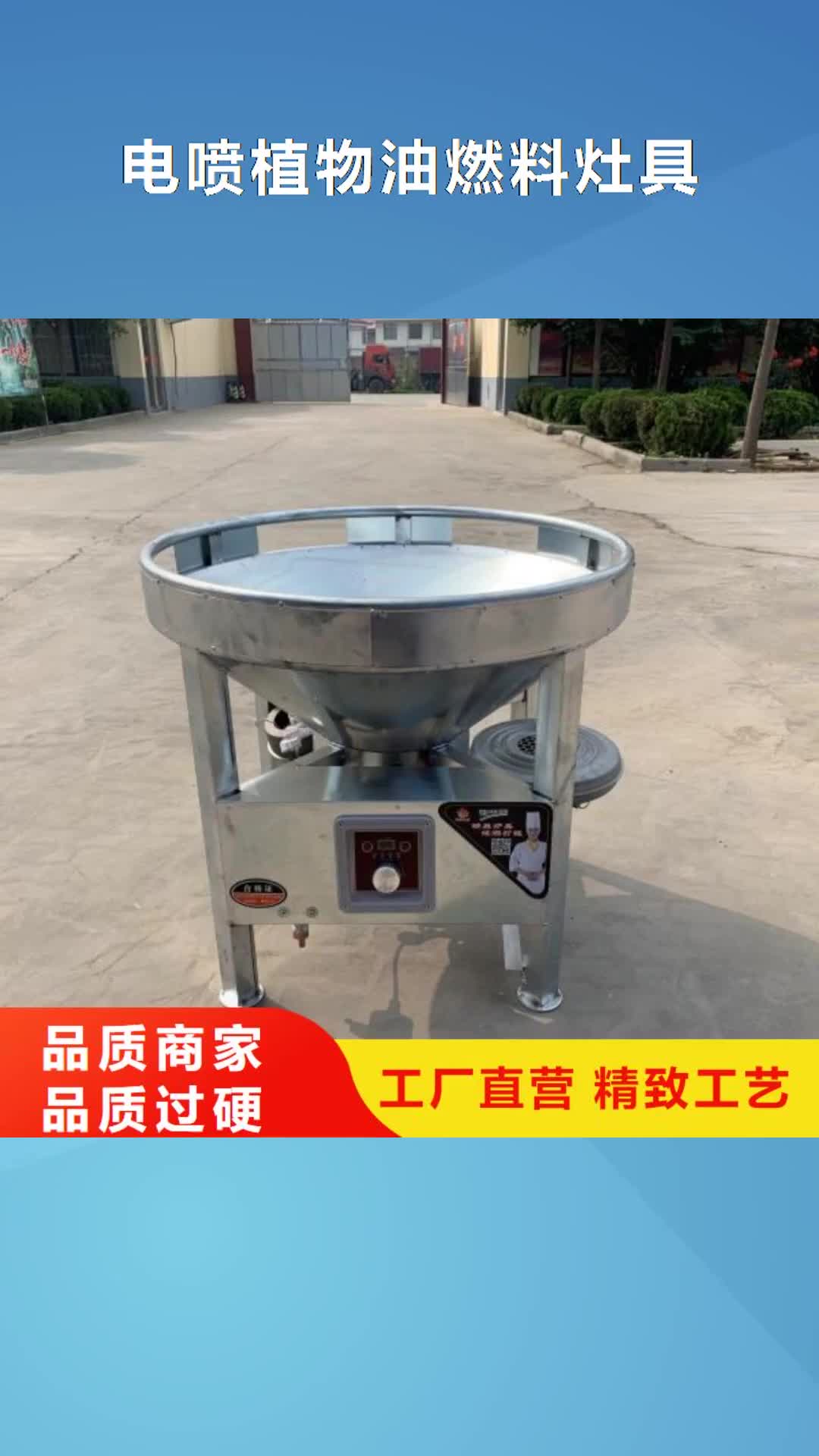 亳州【电喷植物油燃料灶具】无醇燃料技术培训专注细节更放心