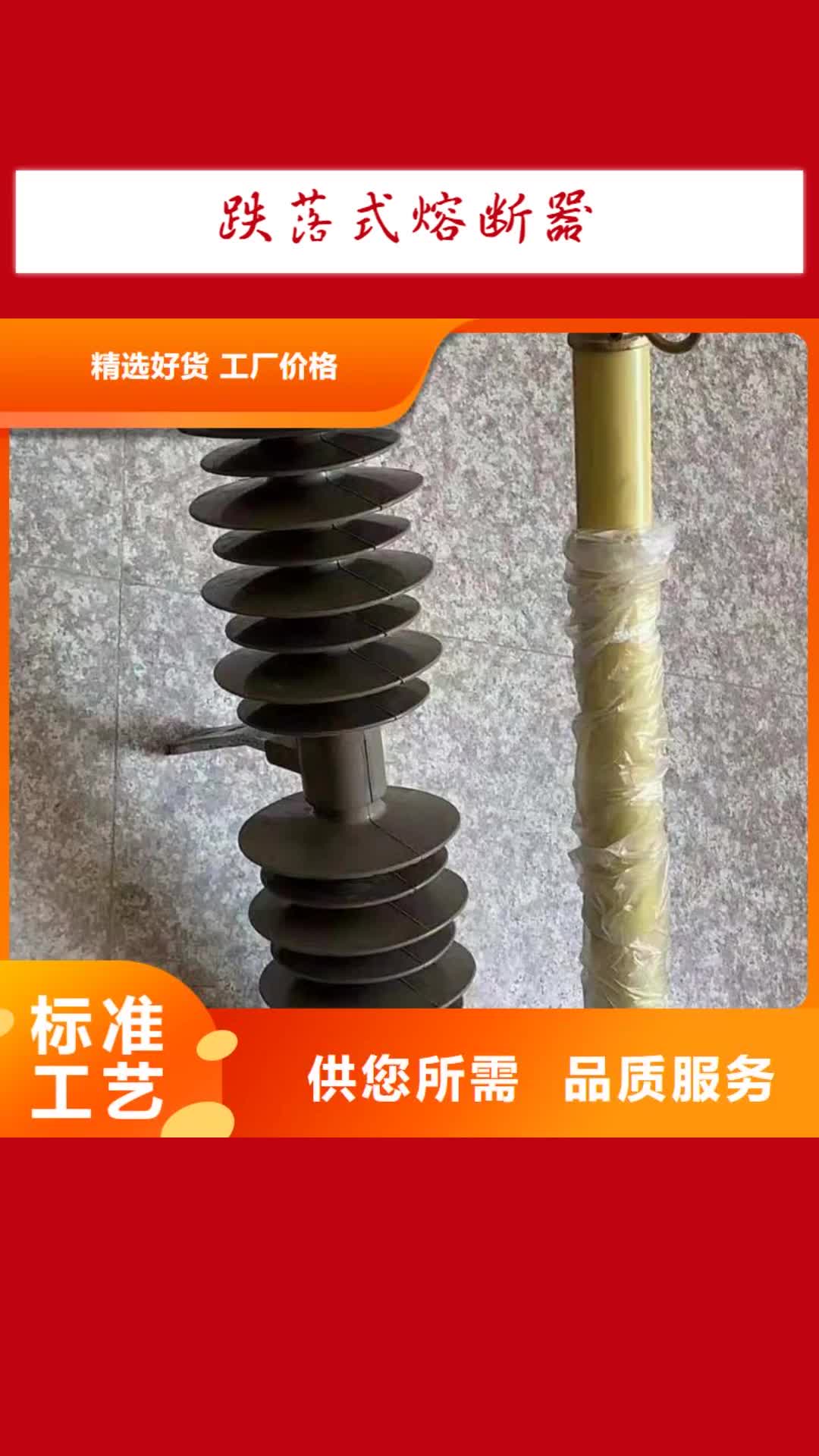 葫芦岛【跌落式熔断器】户外高压真空断路器品质服务诚信为本