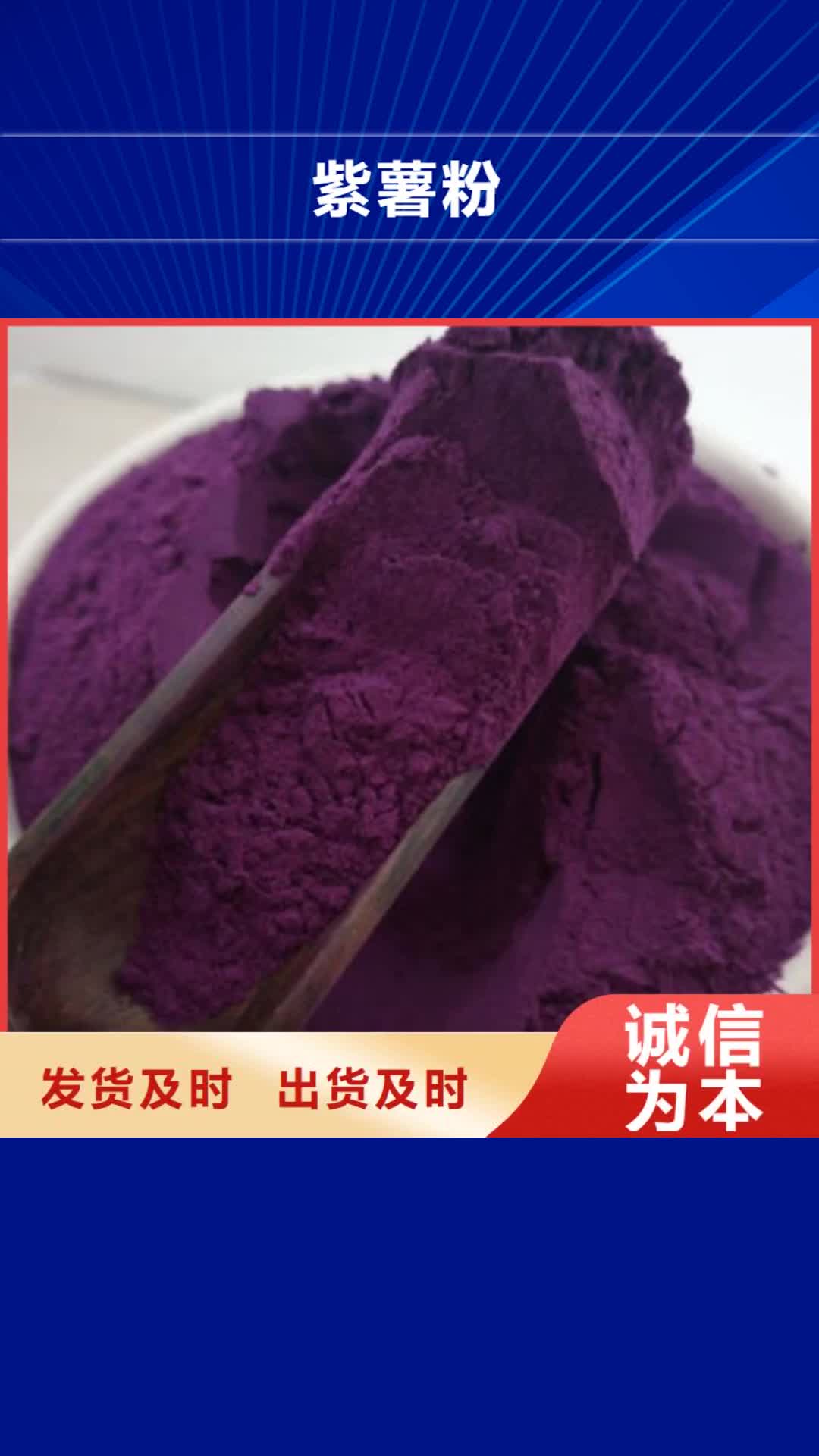 驻马店紫薯粉,【菠菜粉】用心制造