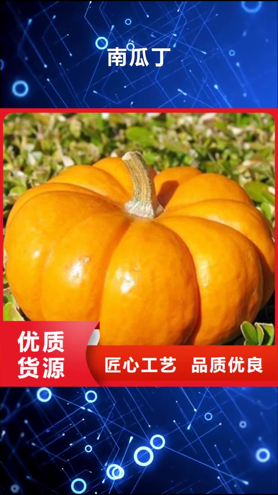 【舟山 南瓜丁_红薯丁厂家实体诚信厂家】