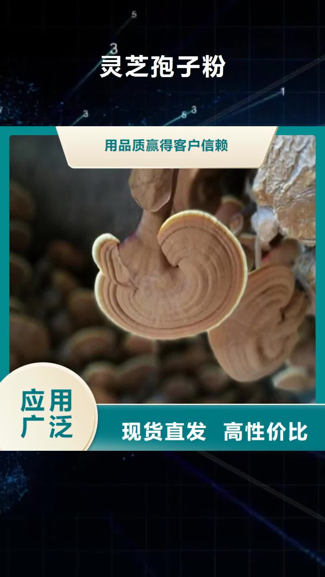 牡丹江 灵芝孢子粉全品类现货