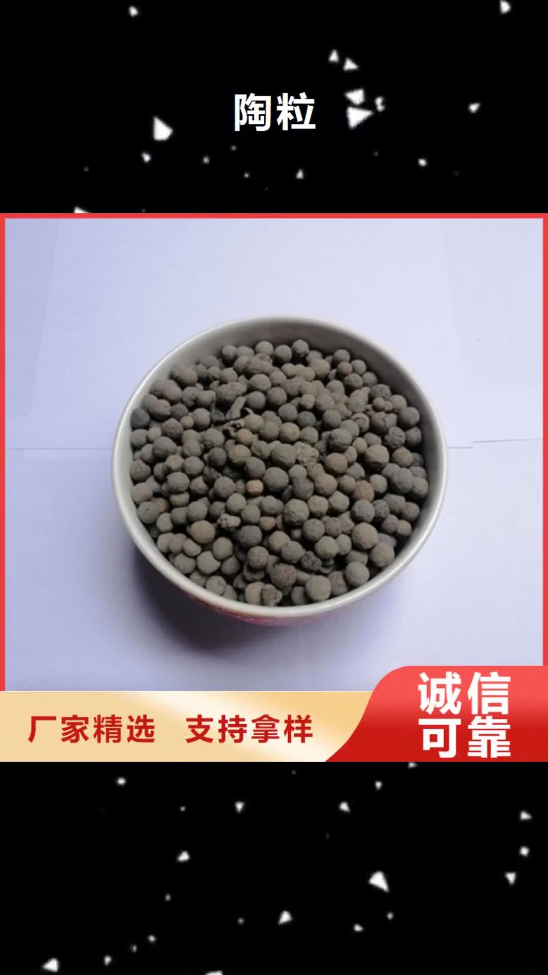 淮北【陶粒】_蜂窝活性炭厂家新品