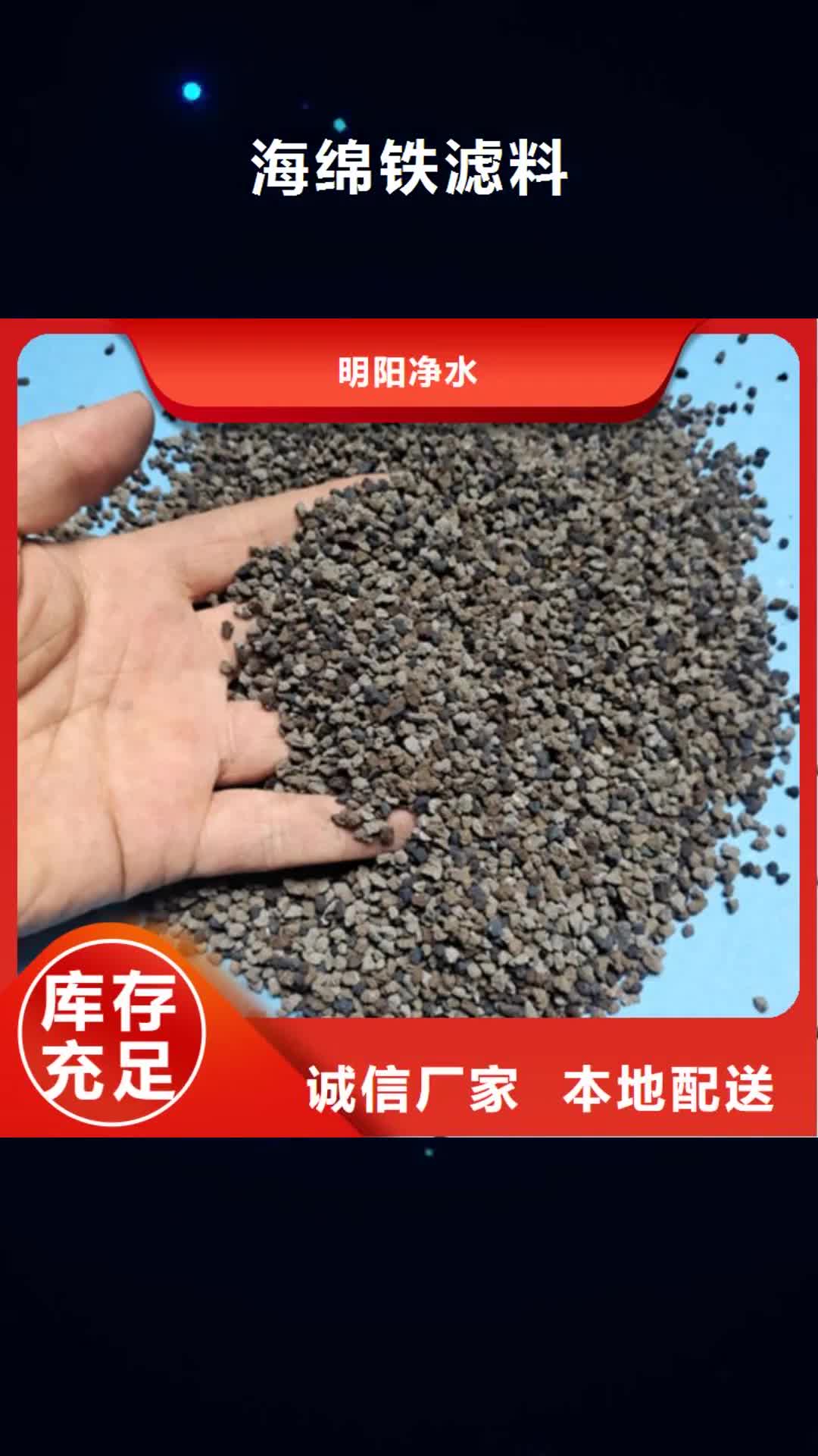 阿里 海绵铁滤料 【柱状活性炭】品质优选