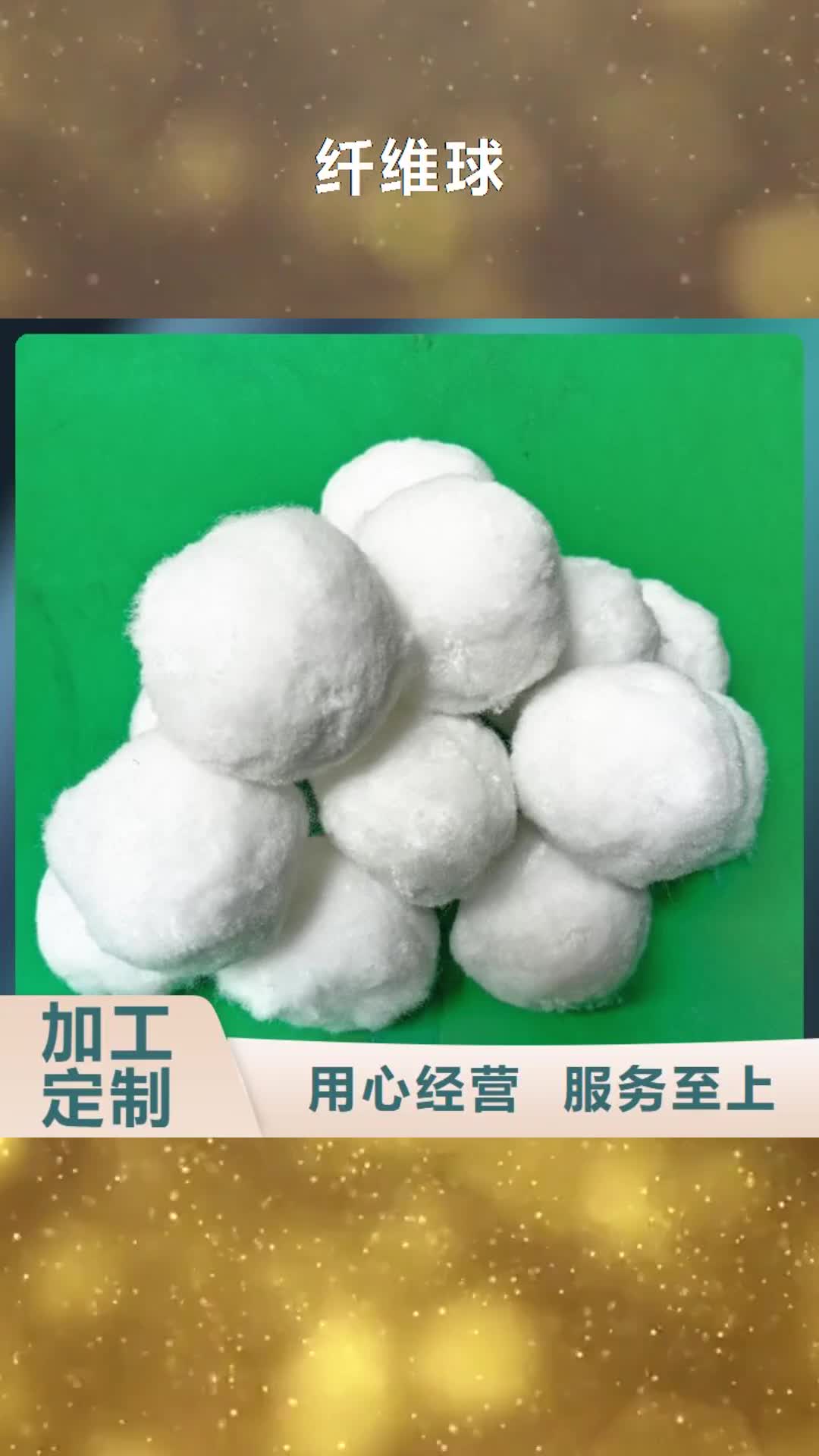 株洲 纤维球_【无烟煤滤料】工艺层层把关
