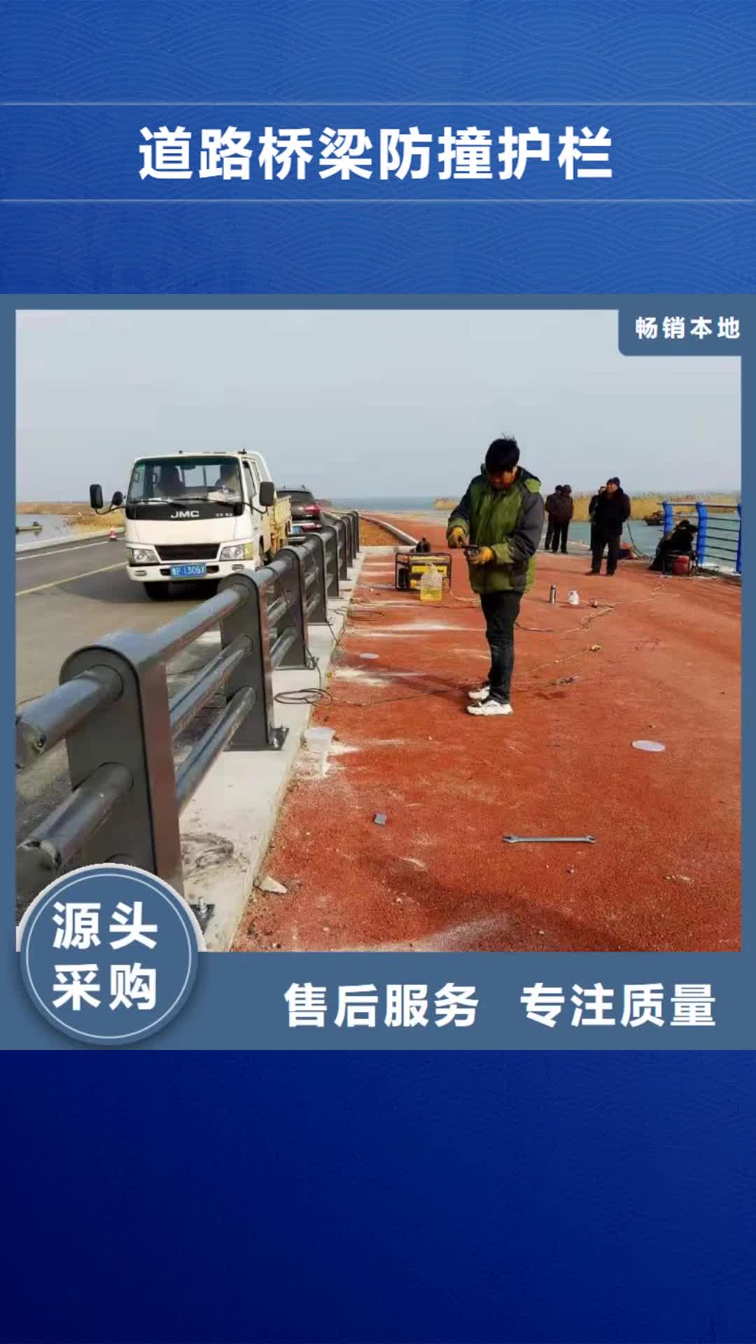 【邯郸 道路桥梁防撞护栏,道路桥梁防撞护栏厂家加工定制】
