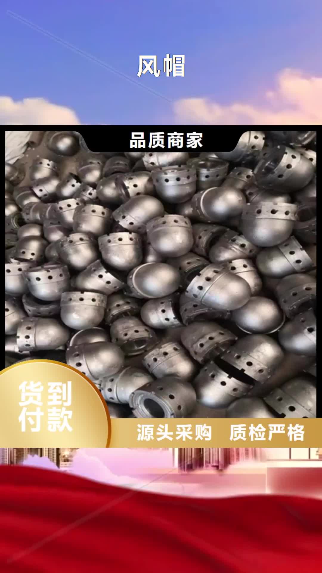常州【风帽】 锅炉配件原厂制造