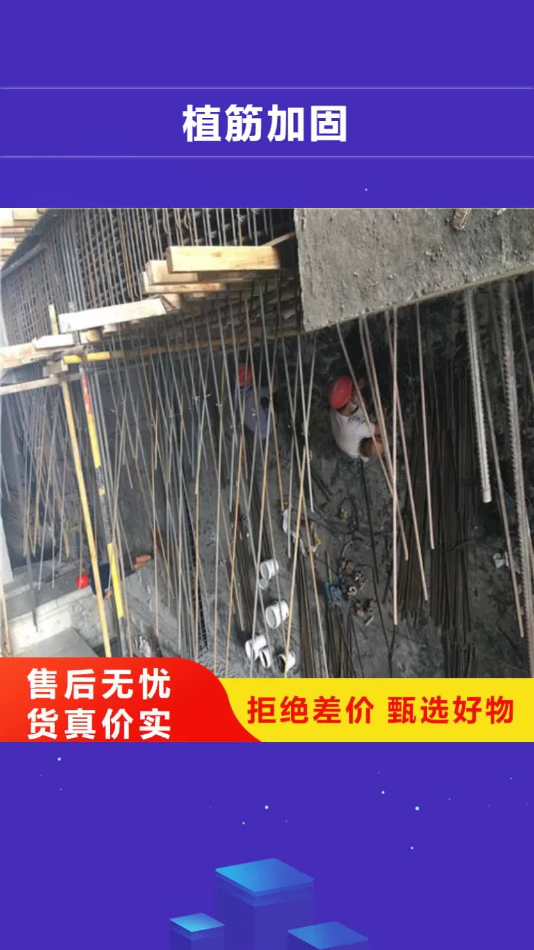 北京 植筋加固 【承重墙拆除加固 】质量安心