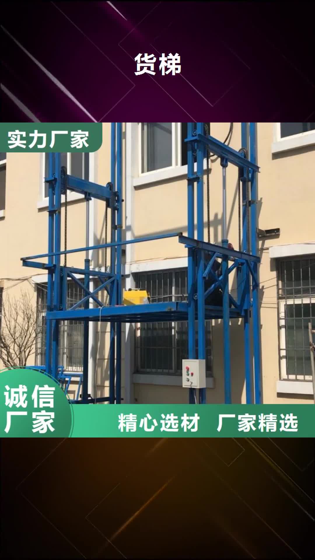 广安【货梯】 传菜电梯厂家批发价格