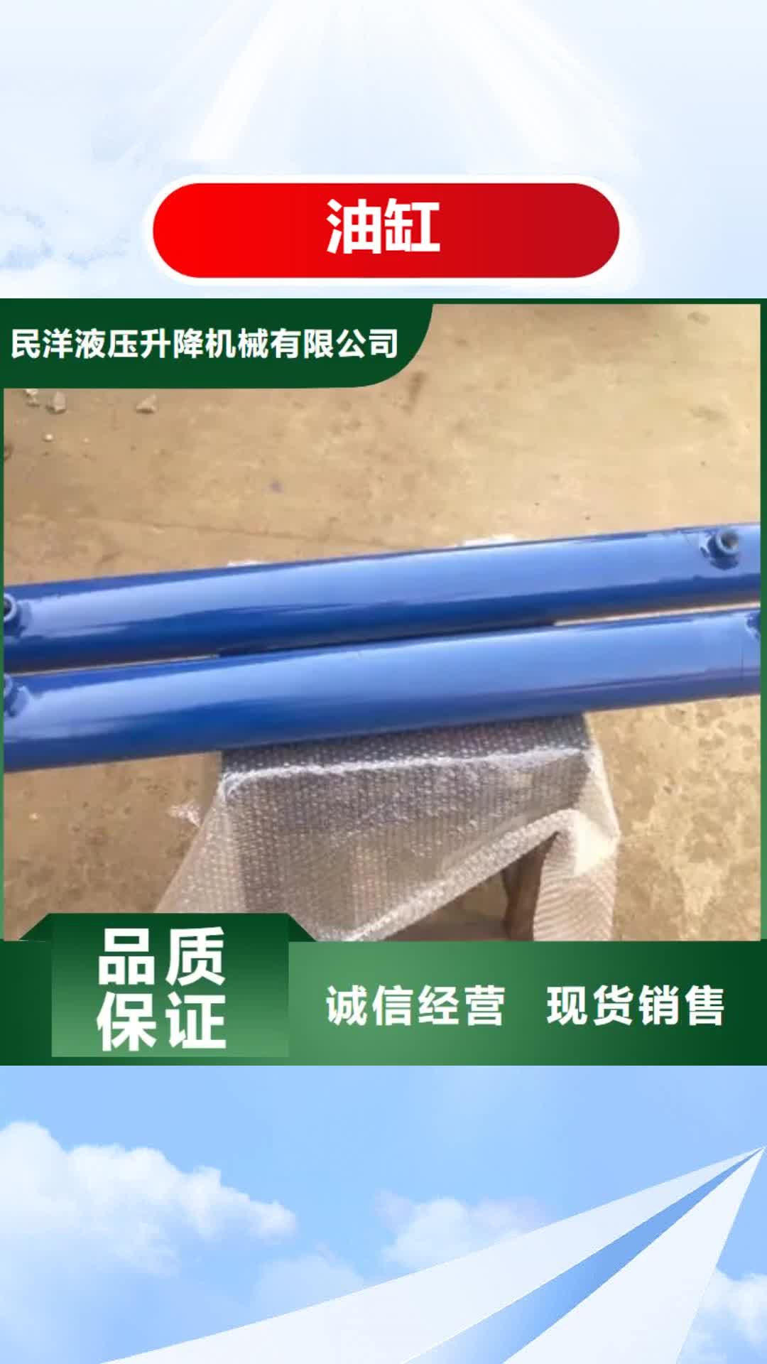 【漯河 油缸传菜电梯厂家快速发货】