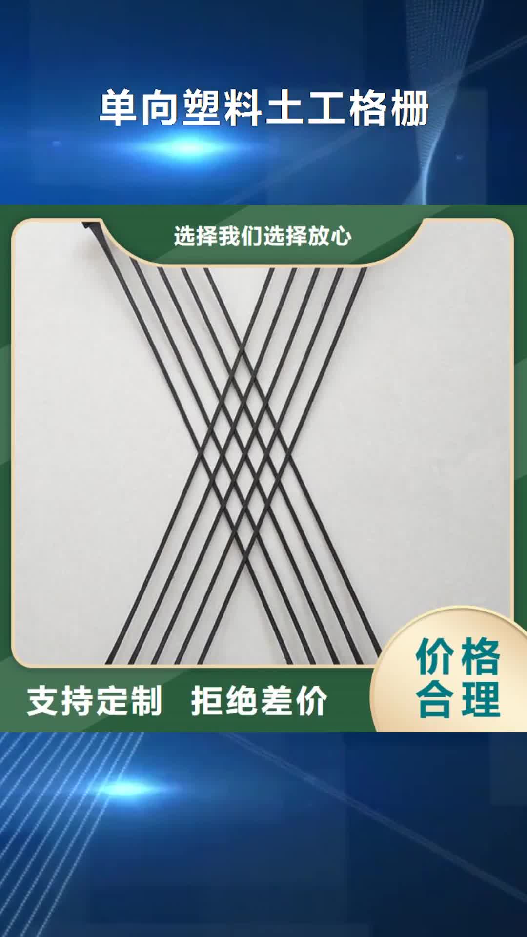 【三门峡 单向塑料土工格栅,膨润土防水毯匠心品质】