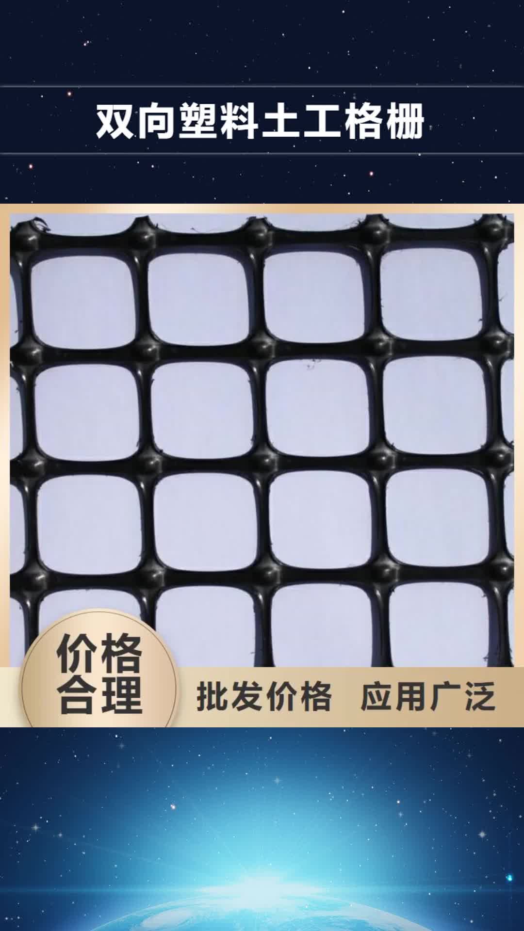 【吉林 双向塑料土工格栅 三维复合排水网产地厂家直销】