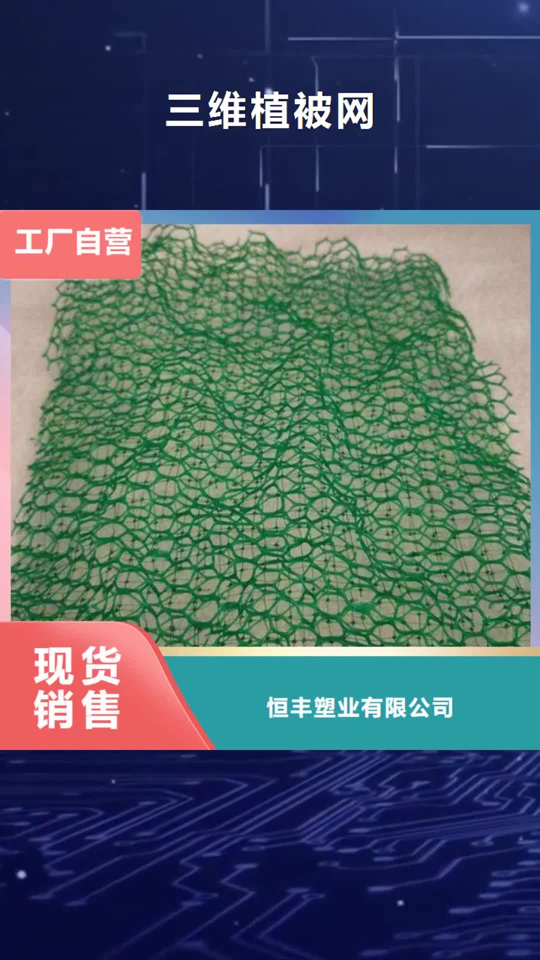 【广州 三维植被网,塑料盲沟品质好才是硬道理】
