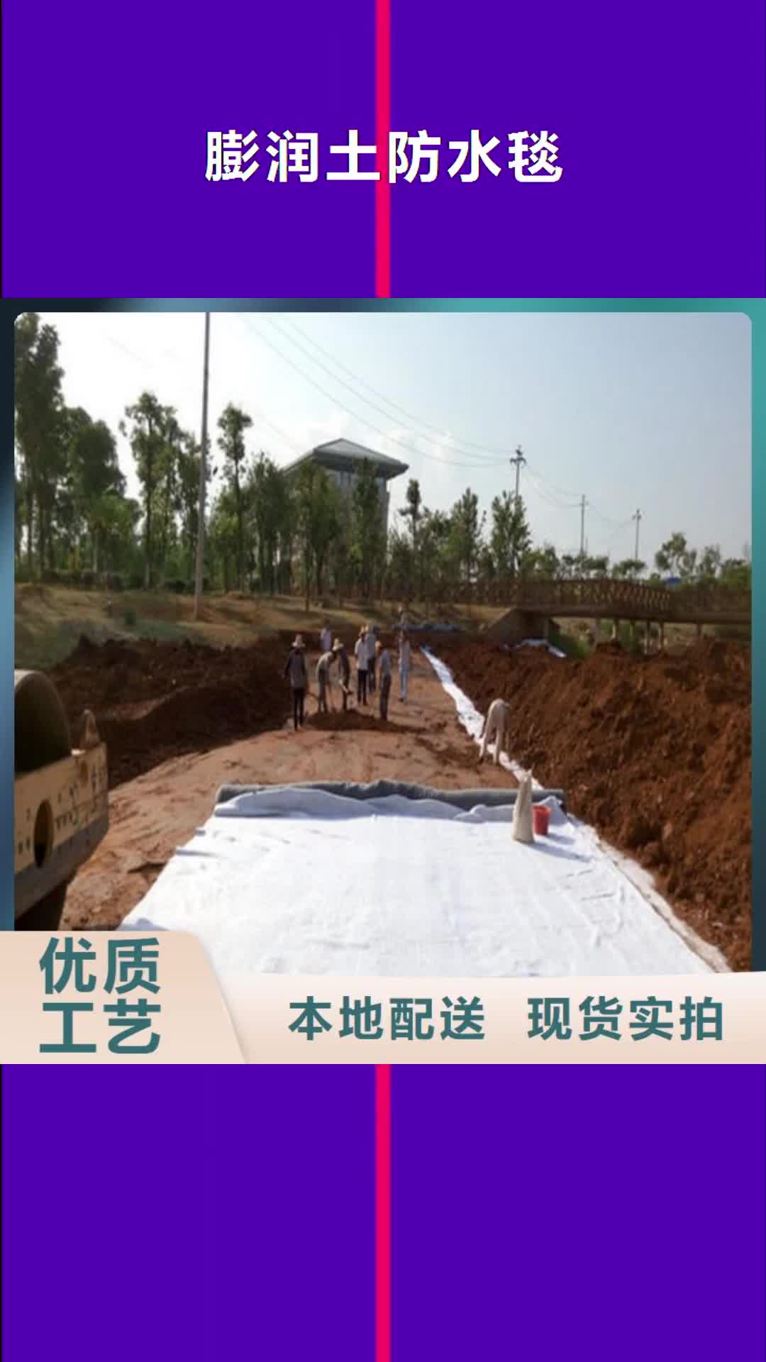 佳木斯【膨润土防水毯】-短丝土工布品类齐全