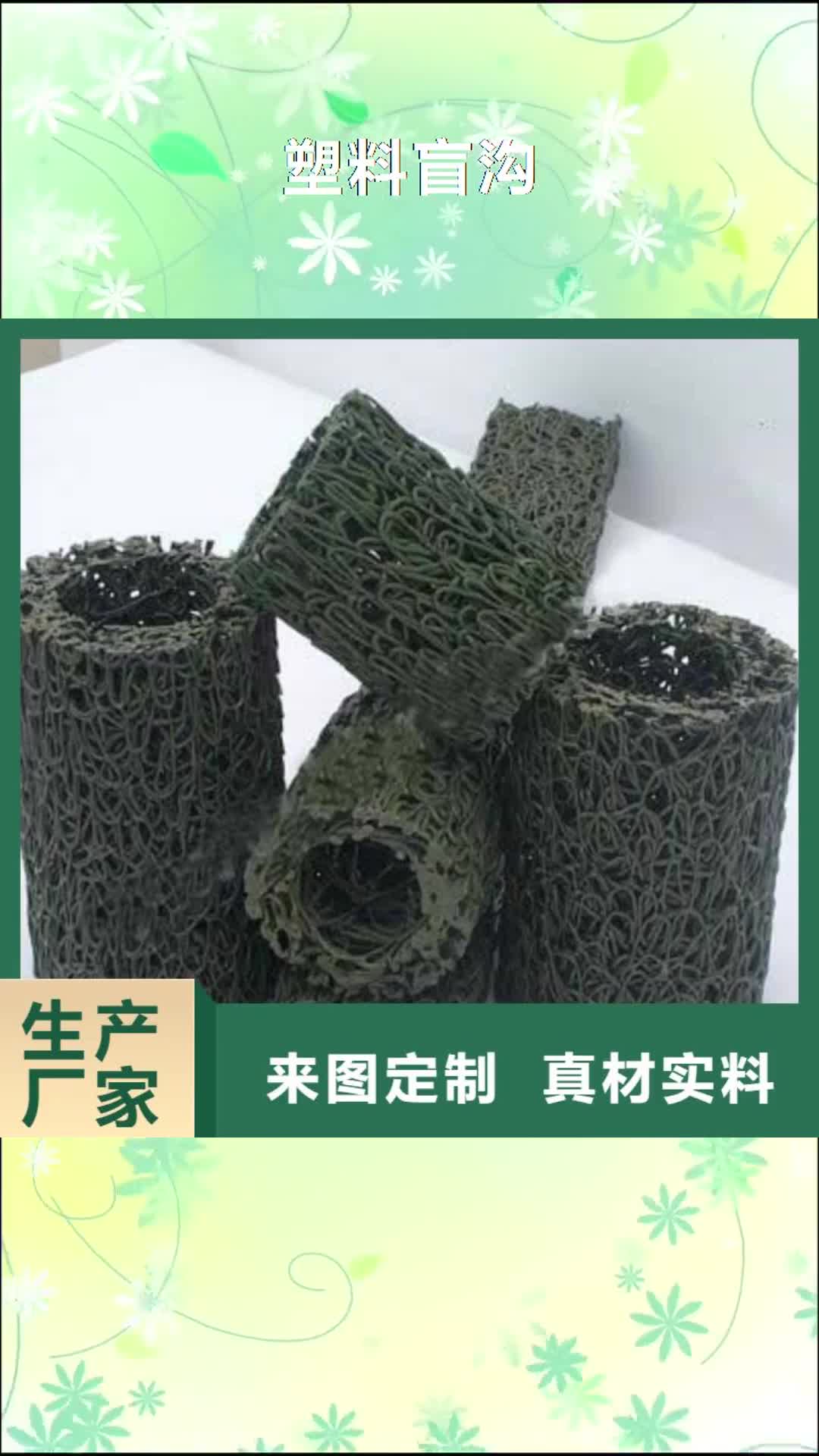 【烟台 塑料盲沟_蜂巢格室多年实力厂家】