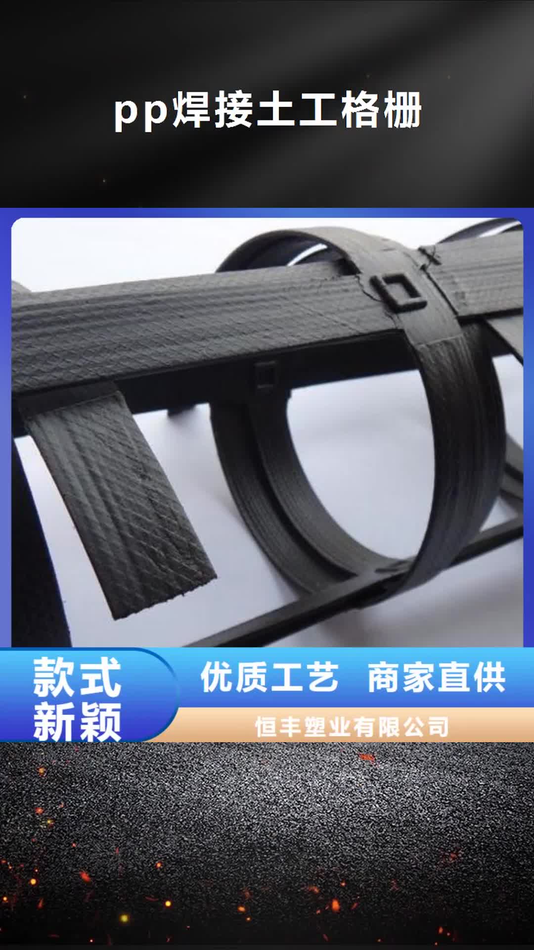 【枣庄 pp焊接土工格栅-蜂巢格室真正的源头厂家】