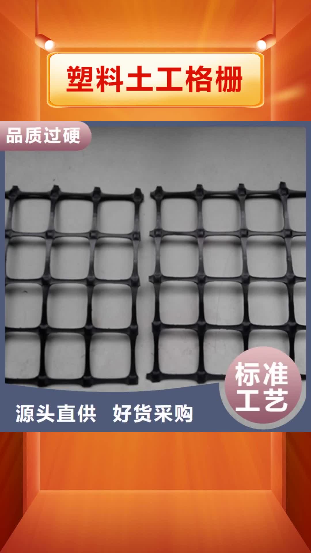 滨州【塑料土工格栅】 三维土工网垫现货批发