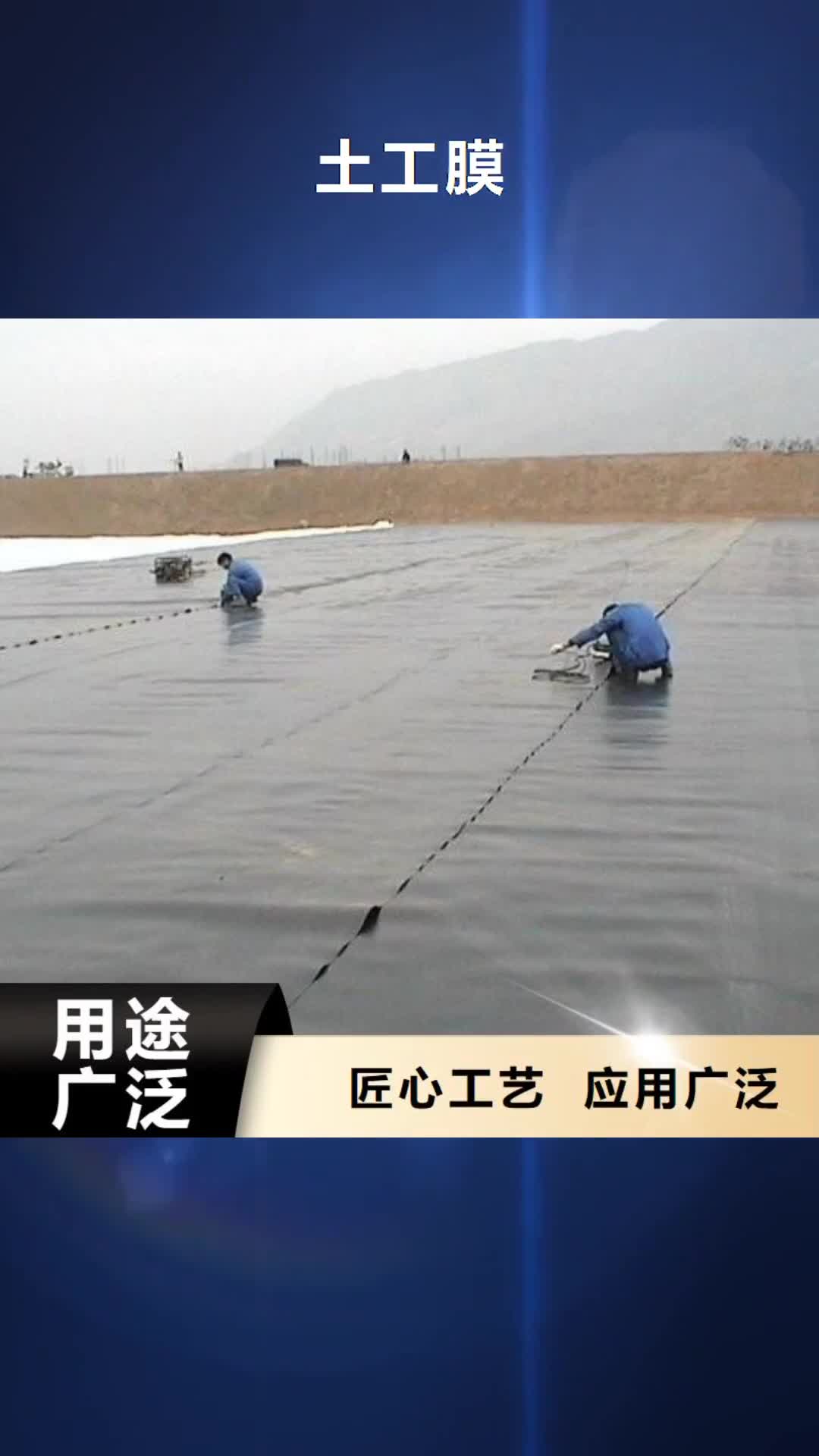 普洱【土工膜】-玻纤土工格栅厂家供应