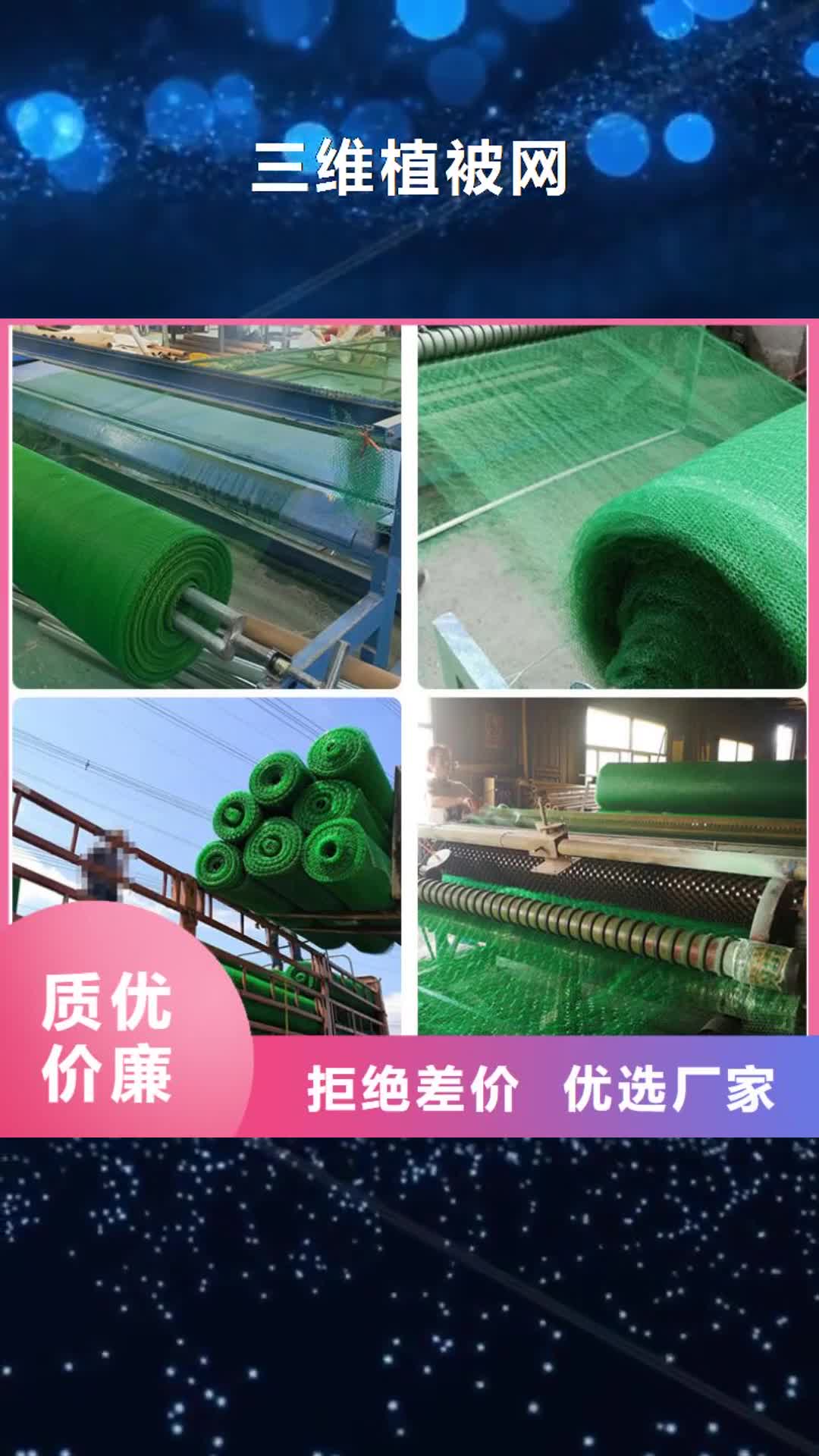 广元 三维植被网 【塑料土工格栅】海量库存