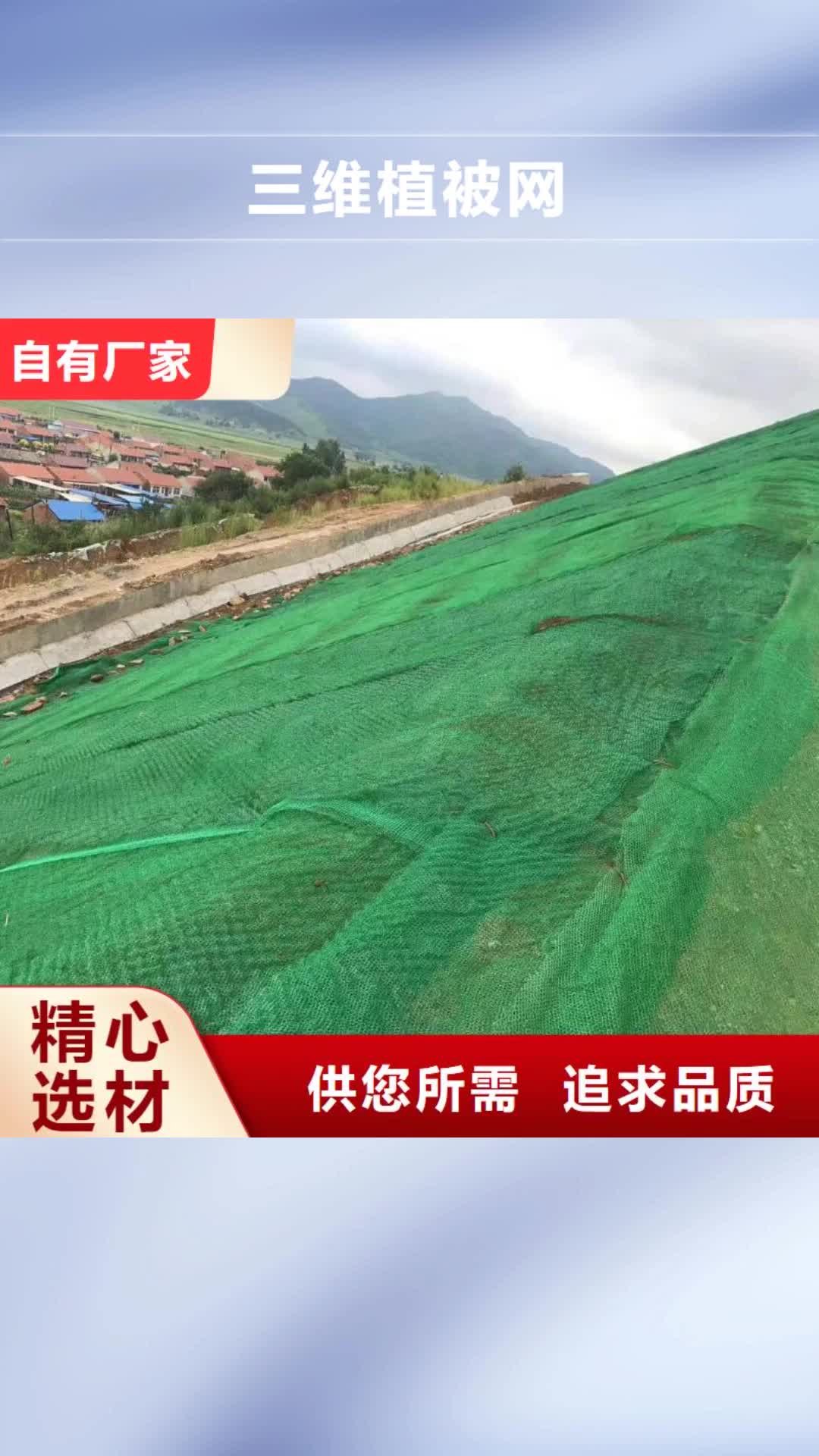 果洛 三维植被网【反滤土工布】快捷的物流配送