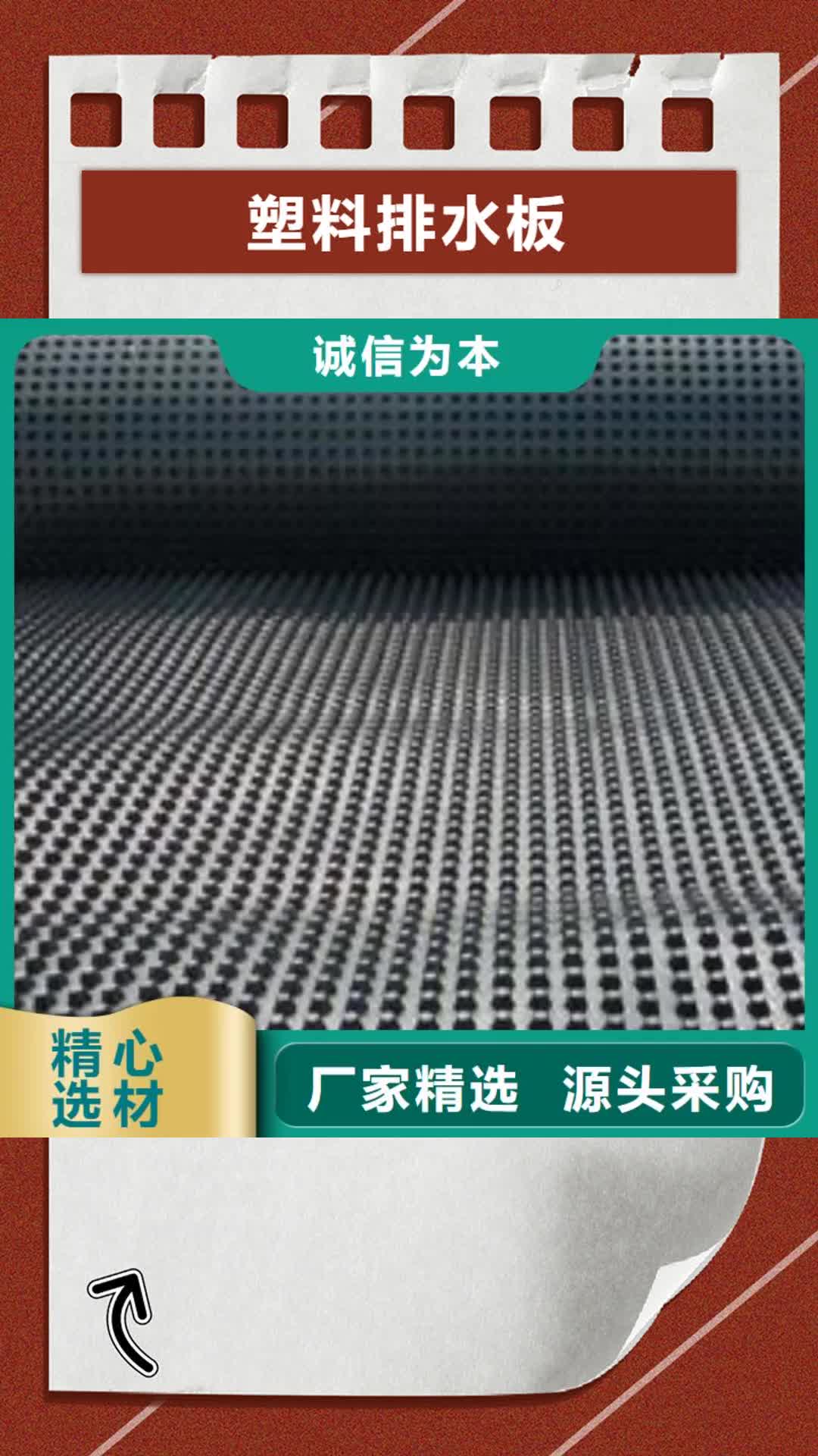 苏州 塑料排水板-【单向塑料土工格栅】一站式采购