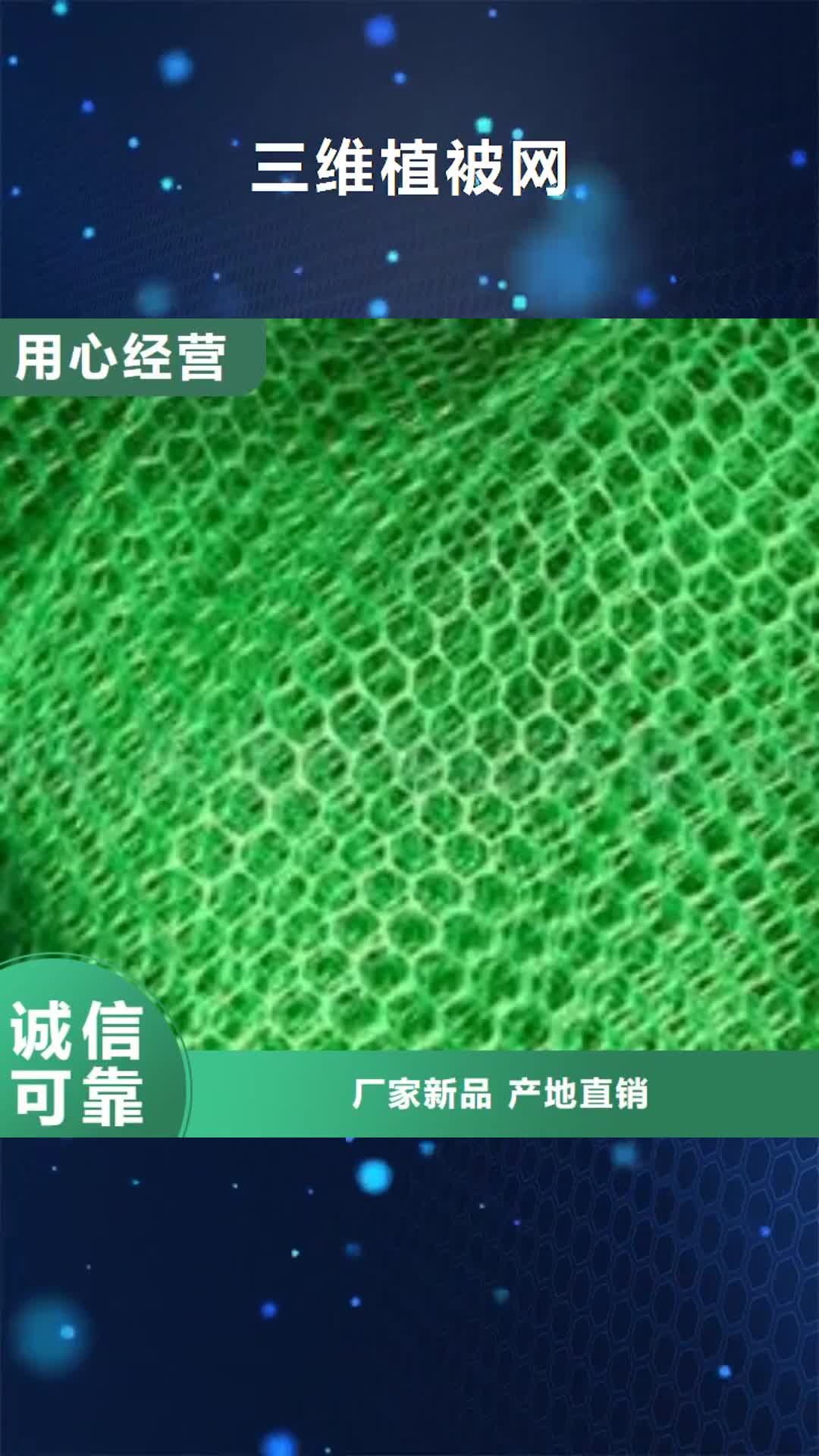 云浮【三维植被网】钢塑土工格栅 质量三包