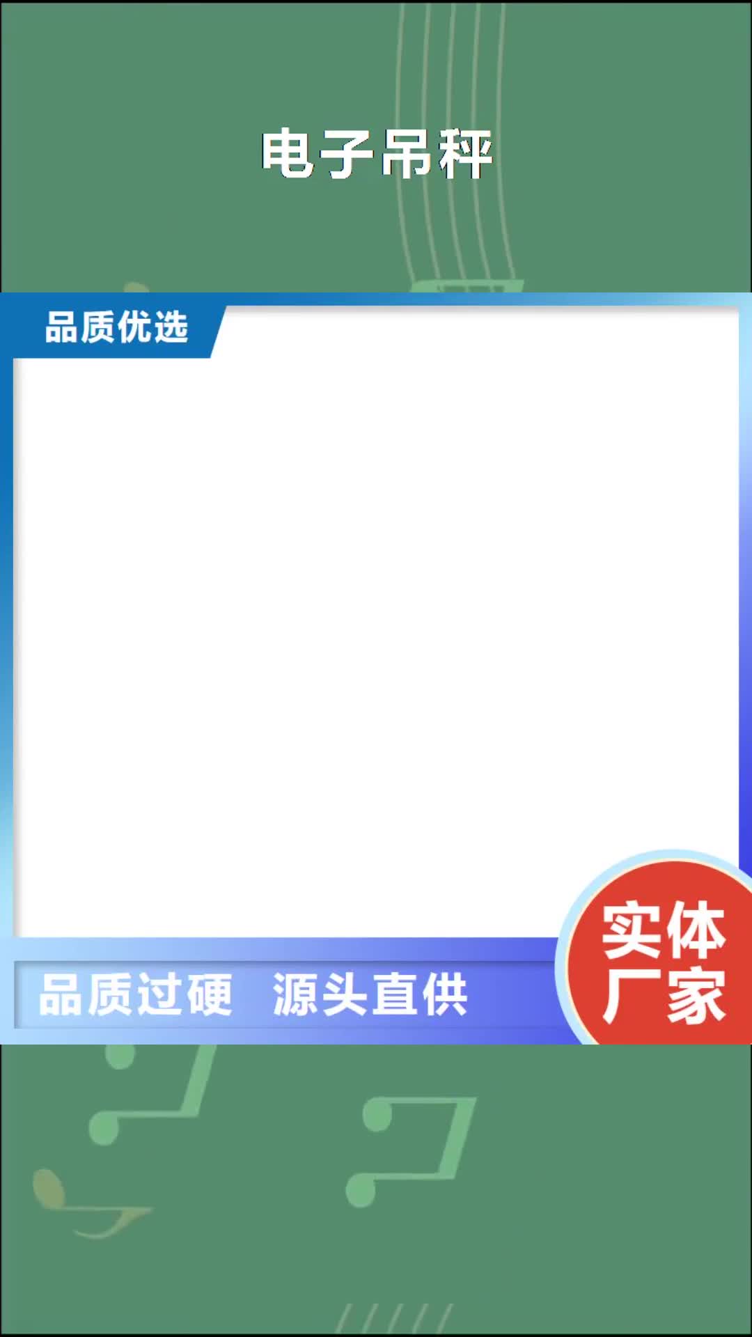 【咸阳 电子吊秤_龙门洗车机产品细节】